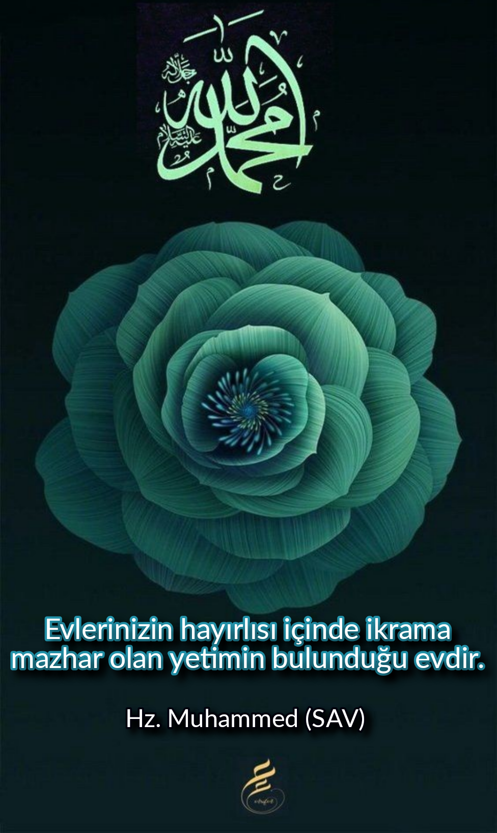 976x1636  Обои арабские на телефон - 69 фото