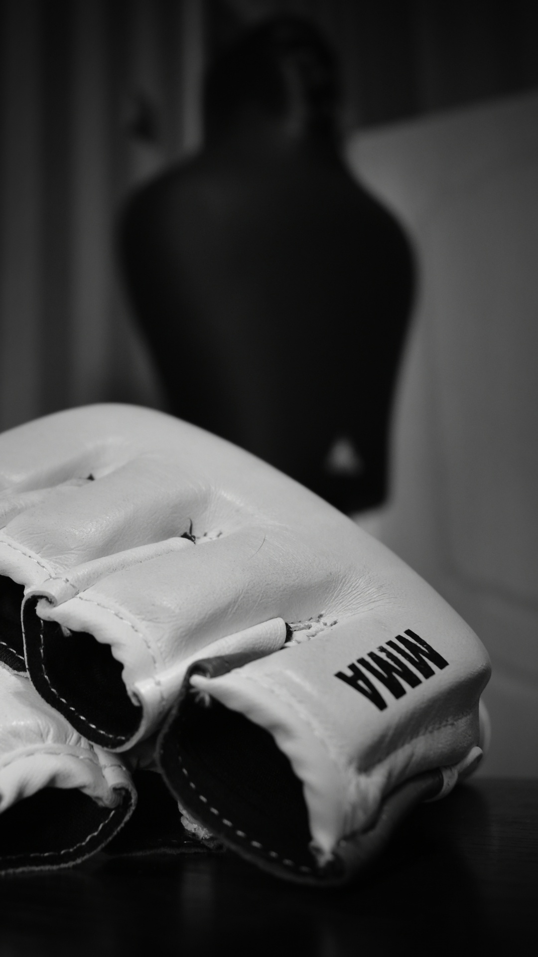 1080x1920  Обои восточные единоборства, смешанные боевые искусства, бой, белые, черный  на телефон Android, 1080x1920 картинки и фото бесплатно