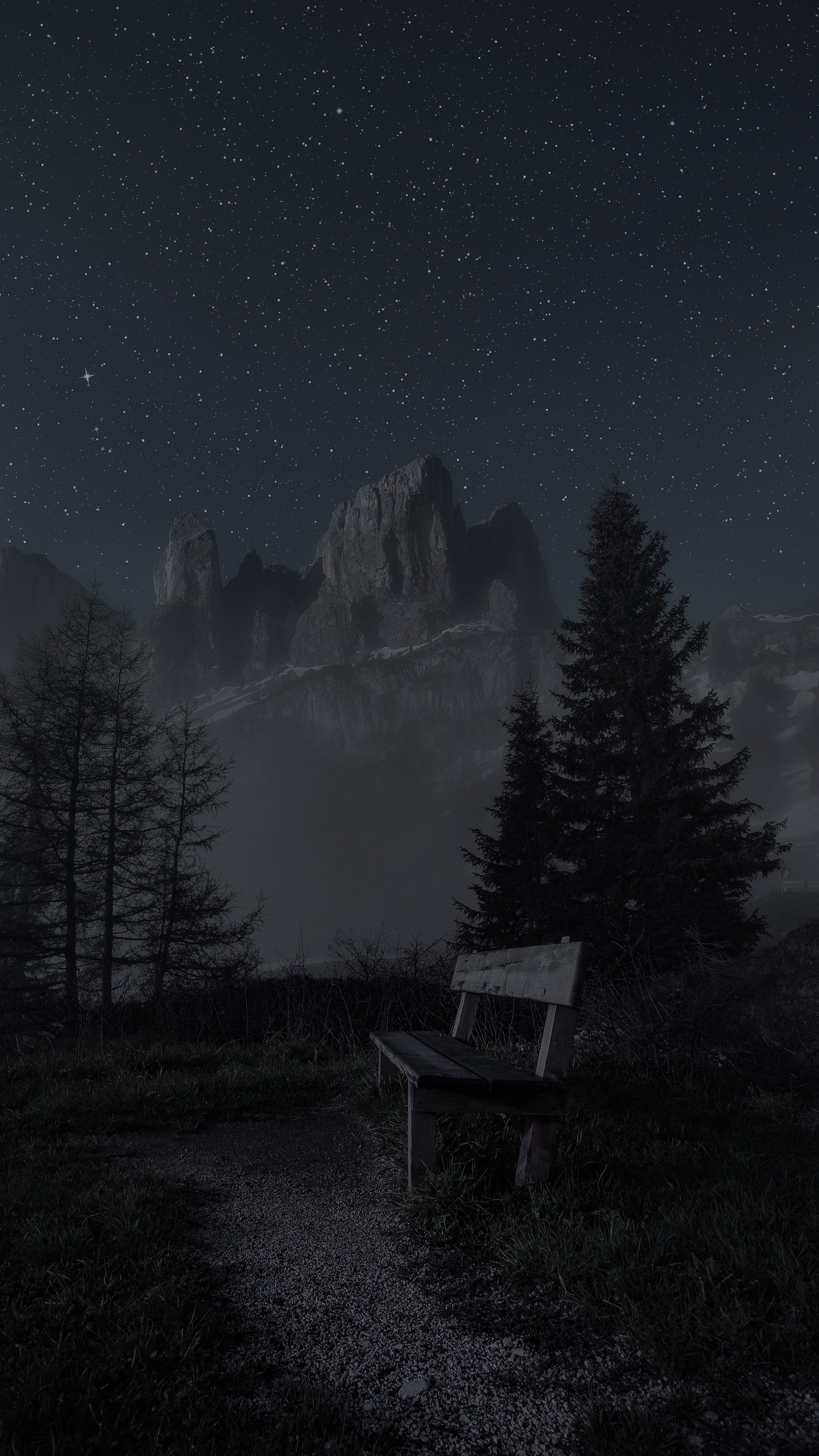 1440x2560  Скачать обои \"Звездное Небо\" на телефон в высоком качестве, вертикальные  картинки \"Звездное Небо\" бесплатно