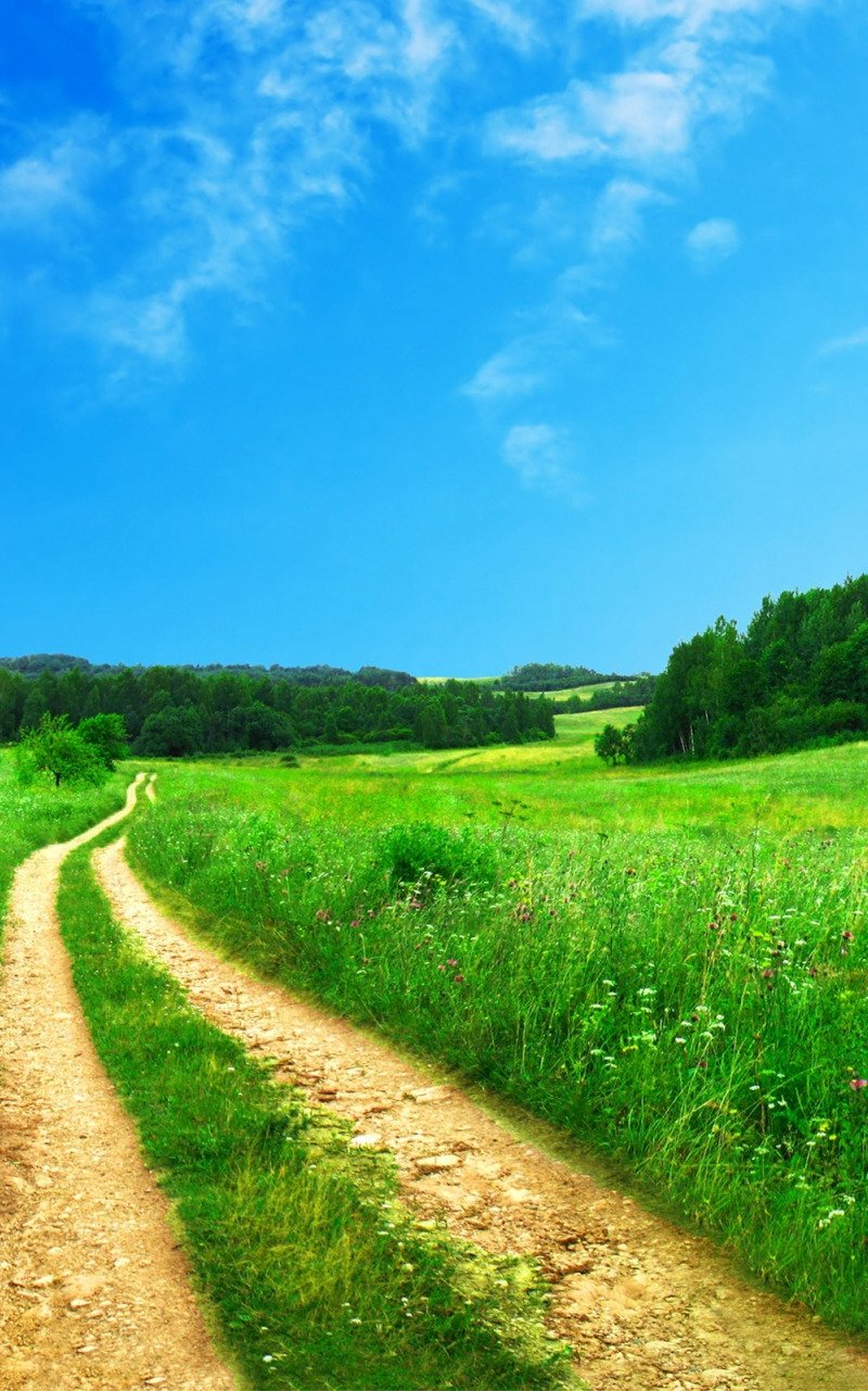 800x1281  Картинки на телефон природа лето - 74 фото