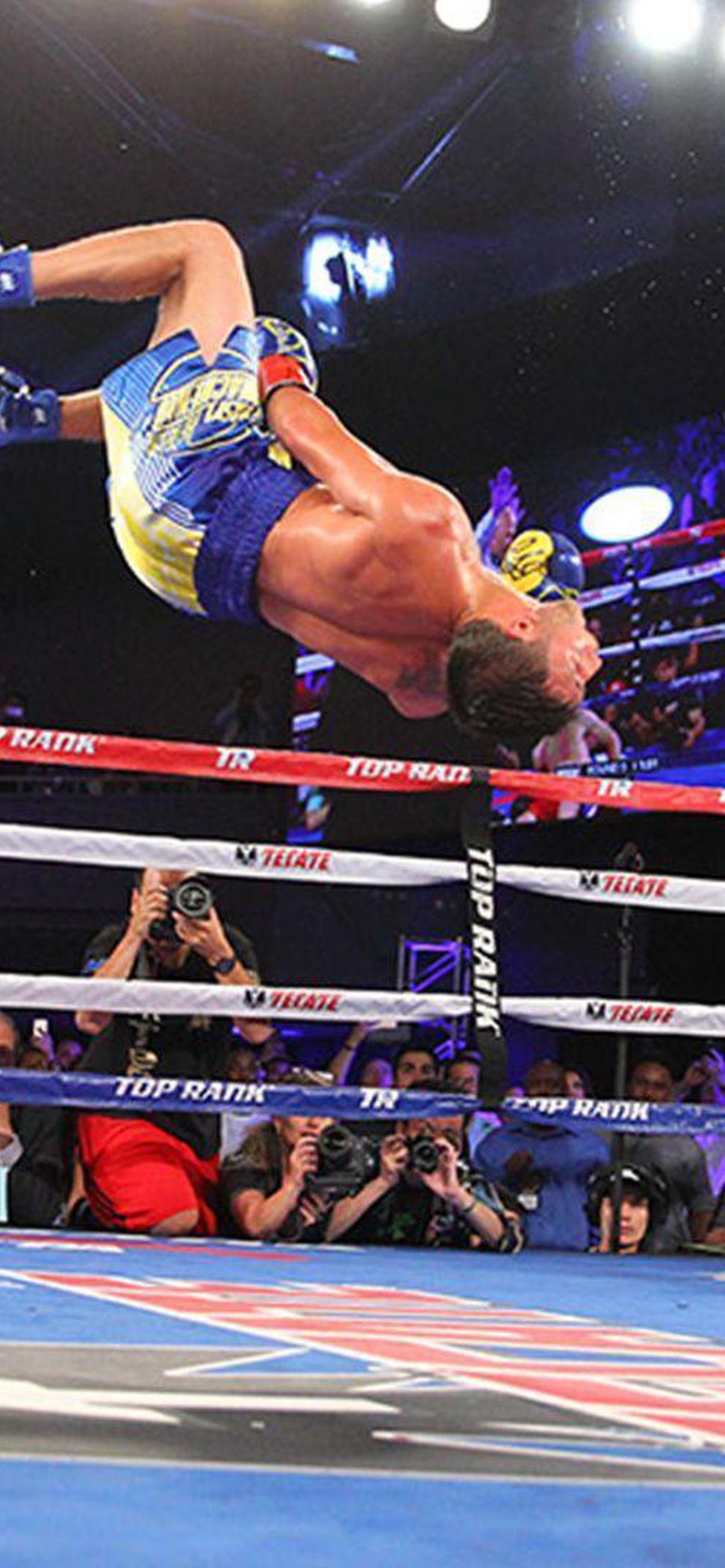 1284x2778  Ломаченко обои на телефон [29+ изображений]