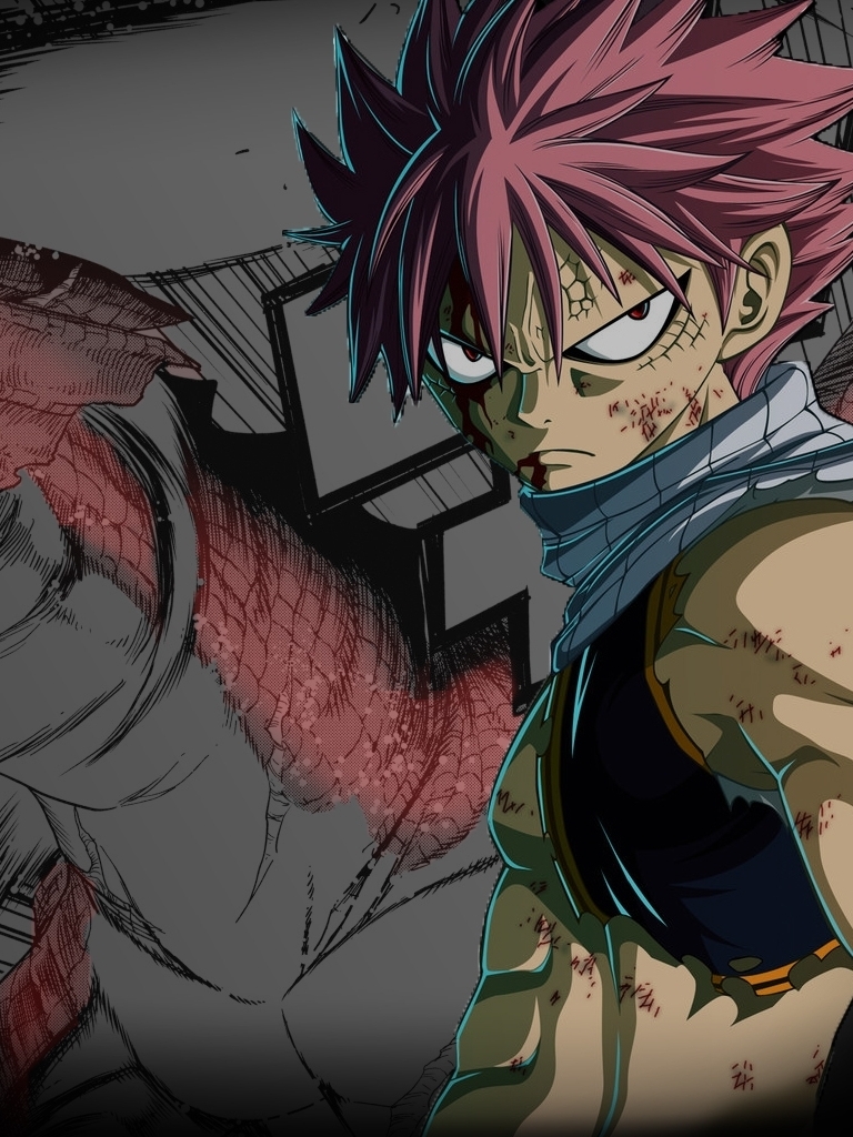 768x1024  Обои на телефон: Аниме, Дракон, Сказка О Хвосте Феи, Нацу Драгнил, Игнил  (Хвост Феи), 1222798 скачать картинку бесплатно.