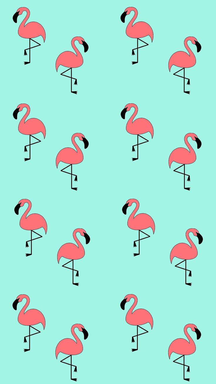 736x1308  Обои, обои для рабочего стола, обои на телефон, фламинго | Фламинго,  Фламинго обои, Обои для телефона