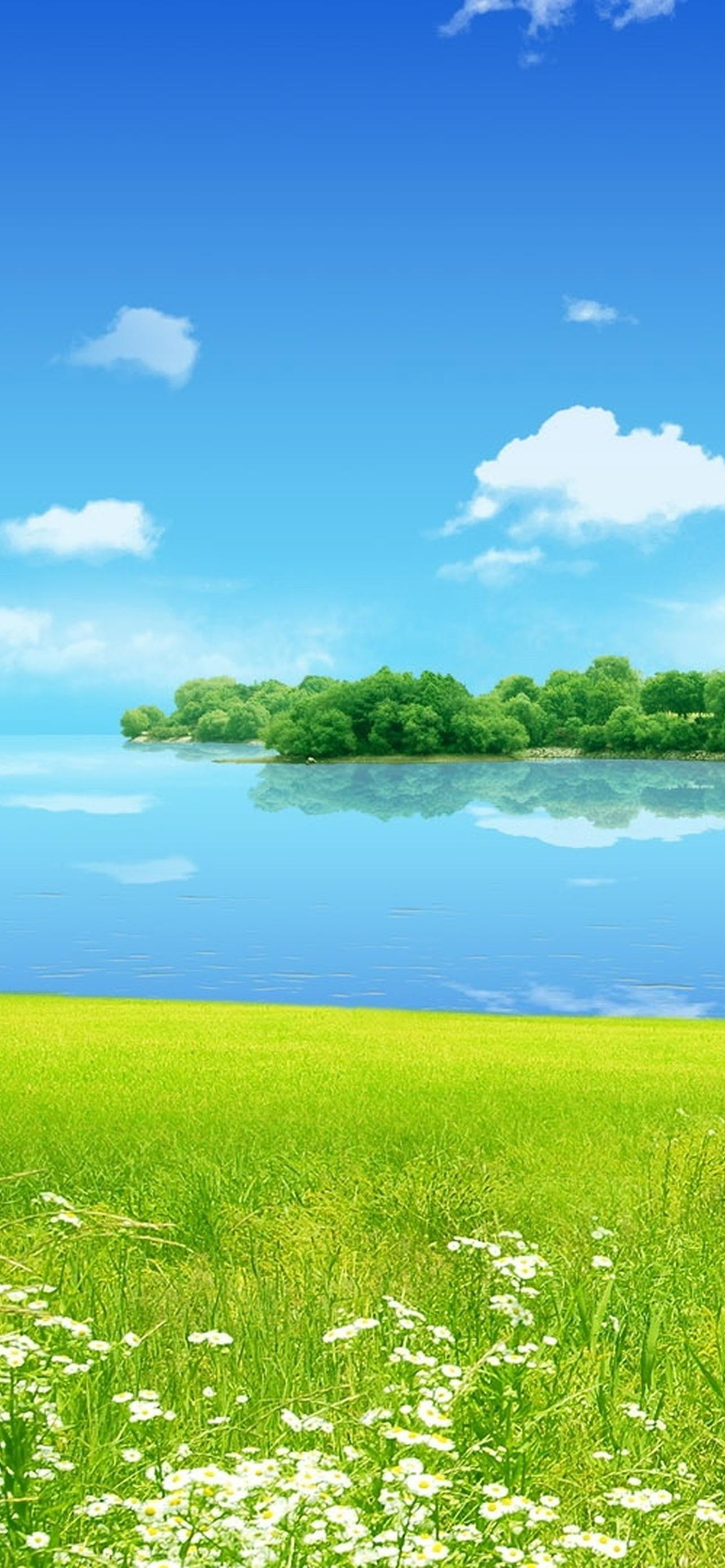 1284x2778  Категория Обои на телефон обои скачать на рабочий стол