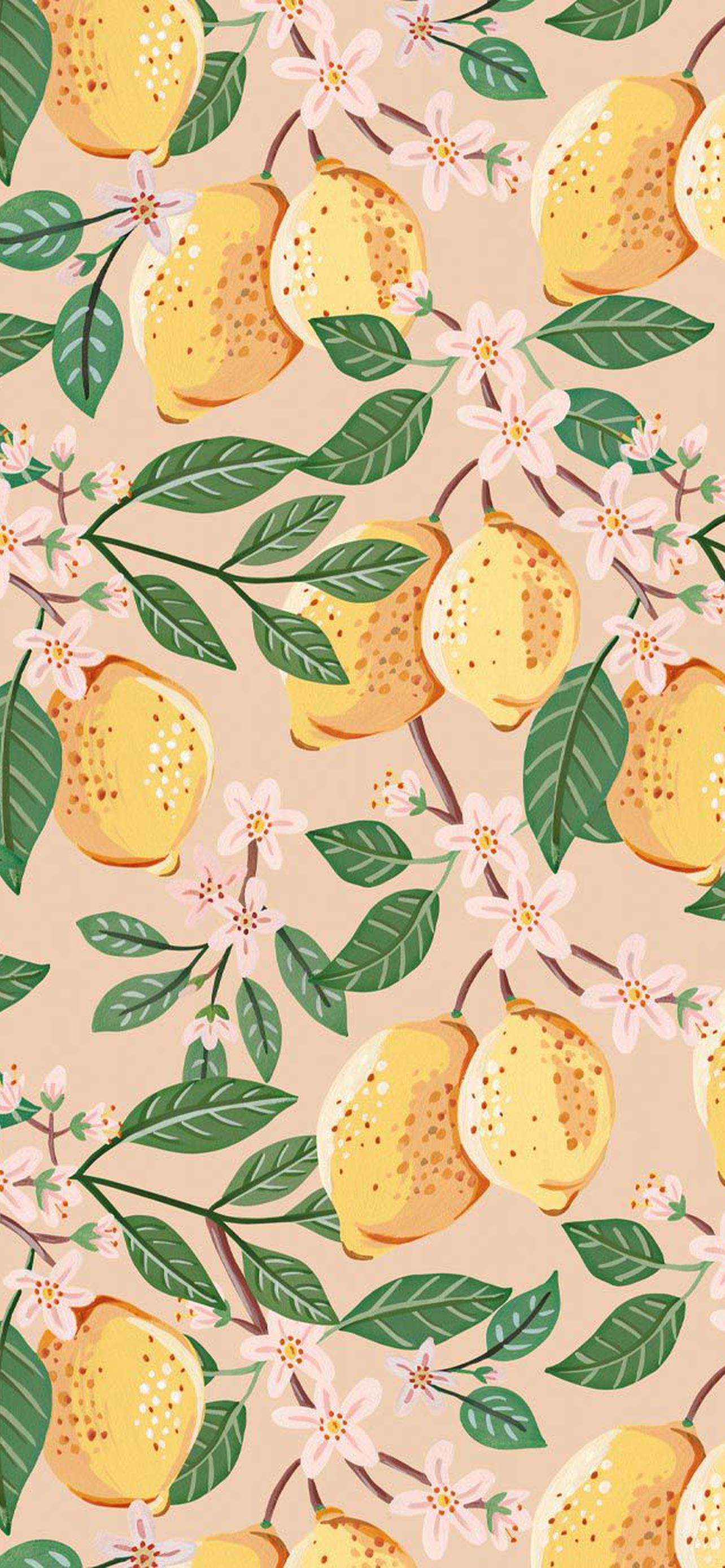 1284x2778  Категория Обои на телефон обои скачать на рабочий стол