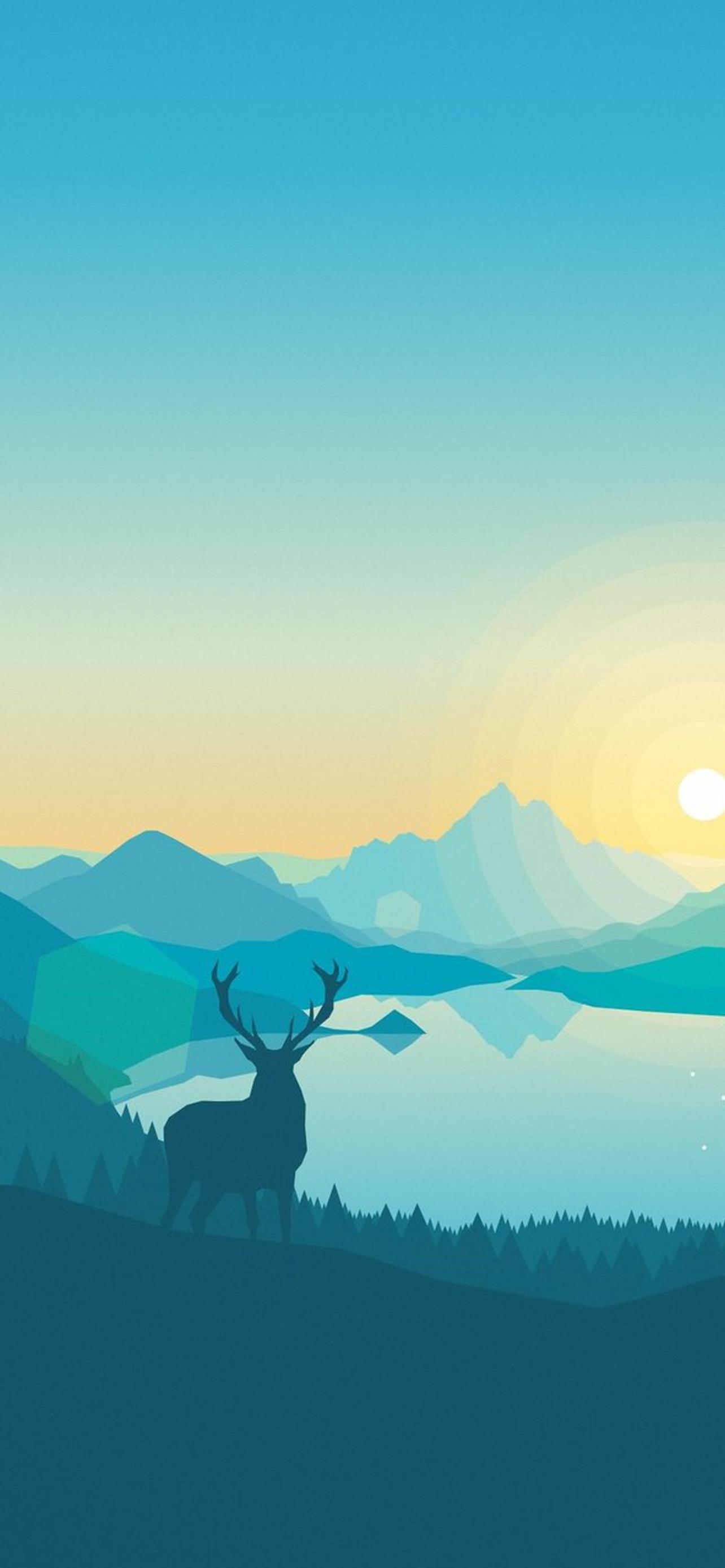 1284x2778  Радуга обои для Андроид Full HD, лучшие 1080x1920 заставки на телефон |  Akspic