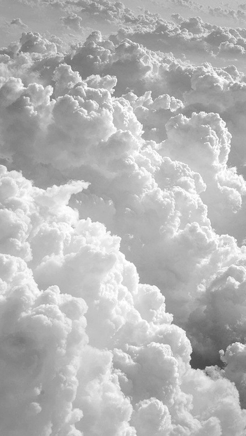 794x1410  Белые обои на айфон - 69 фото