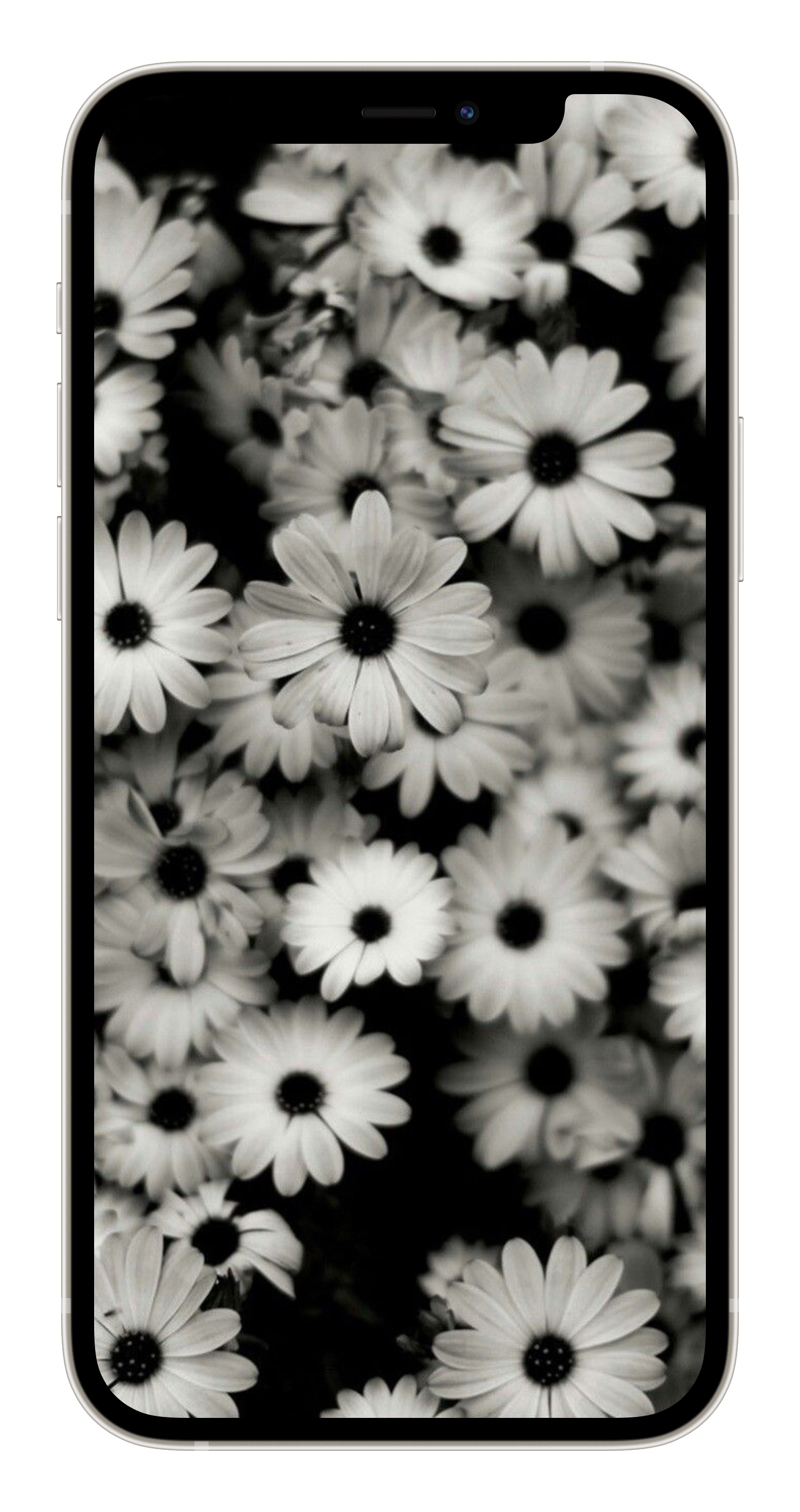 1530x2892  обои на телефон. Эстетика | Flower phone wallpaper, Flower wallpaper,  Flower aesthetic