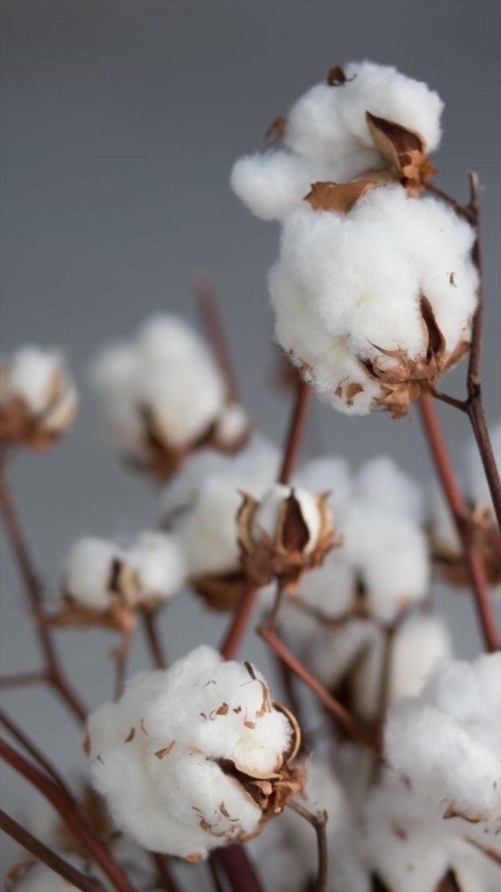 720x1280  белый тон современный мемфис текстурированные мобильный телефон обои  иллюстрация Иллюстрация штока - иллюстрации насчитывающей ретро, экран:  223785620