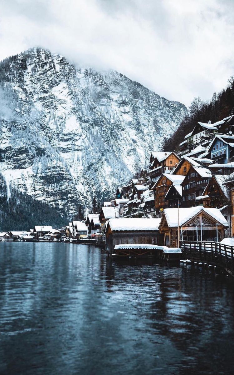 750x1200  обои #обоинателефон #обоидлятелефона #море #океан #вода #sea #ocean #water  #цветы #flowers #wallpaper #… | Aesthetic backgrounds, Aesthetic wallpapers,  Background