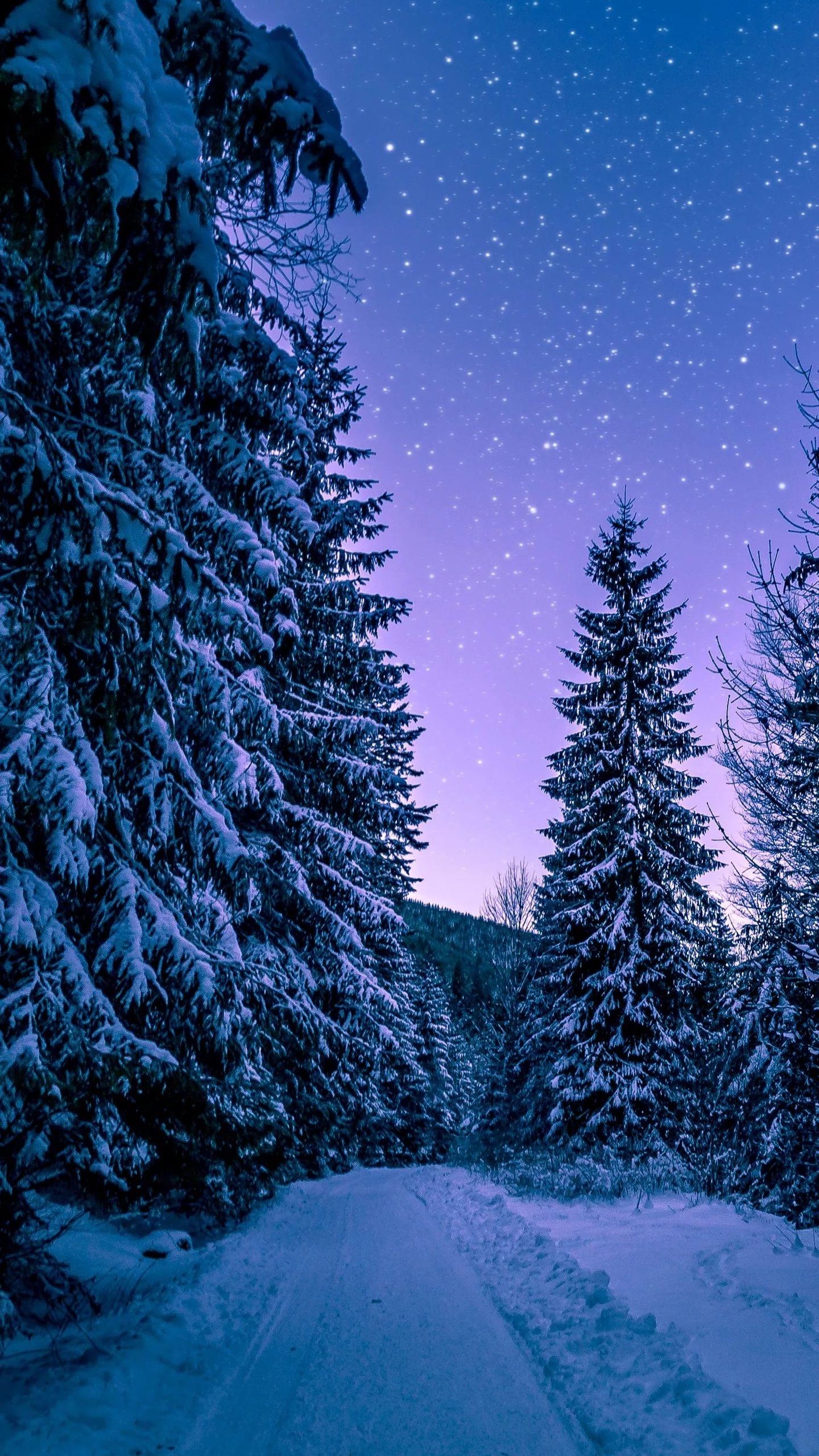 картинки на телефон природа зима