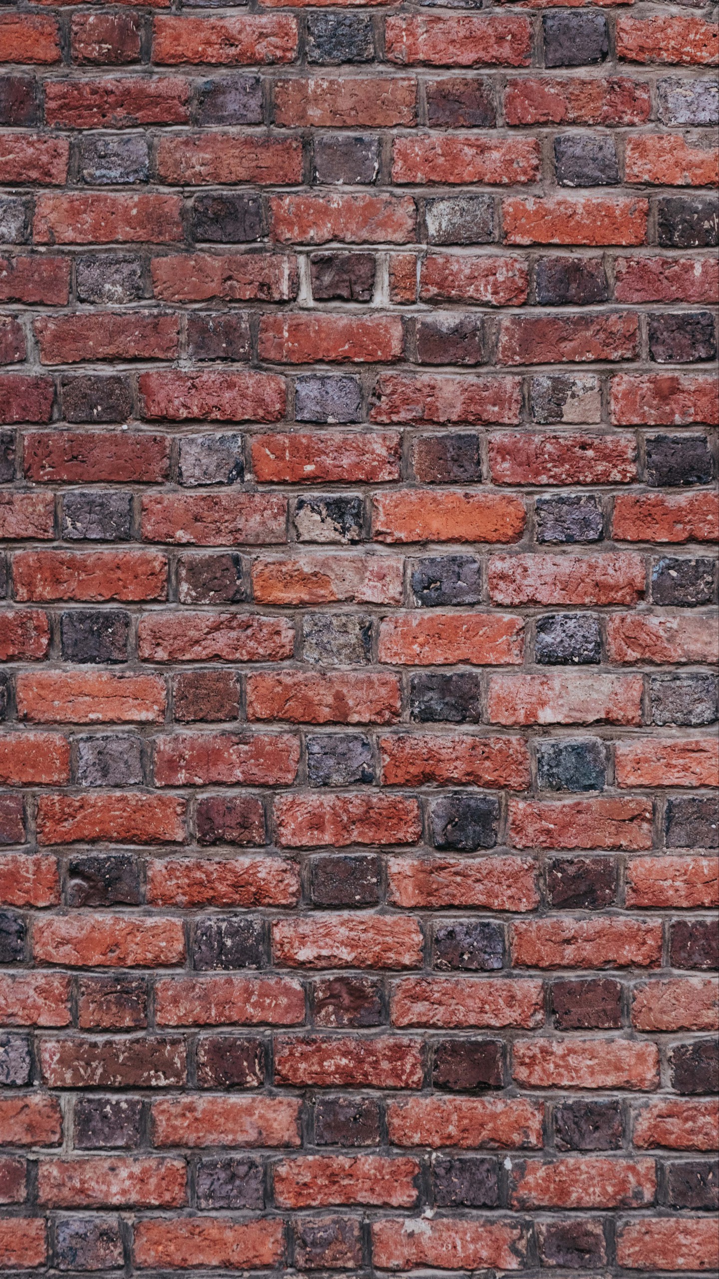 1440x2560  Обои на телефон стена, кирпичный, рельефный, поверхность, текстура -  скачать бесплатно в высоком качестве из категории \"Текстуры\"