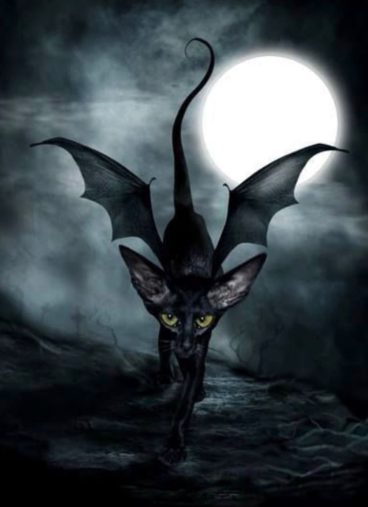 1197x1649  Летучая мышь арт призрак - 69 фото