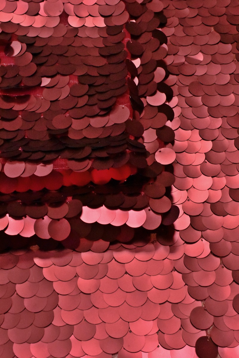 800x1200  Пайетки крупные матовые рубиново-красный (10665) - Alta Moda