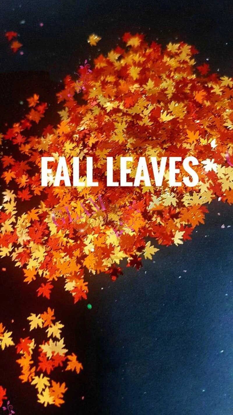 800x1423  12 коробок, Осенние наклейки для ногтей, наклейки, сделай сам, цветной  кленовый лист, пайетки, лазерные ногти, искусство, блестящие тонкие  блестки, хлопья, наклейки, s конфетти | AliExpress