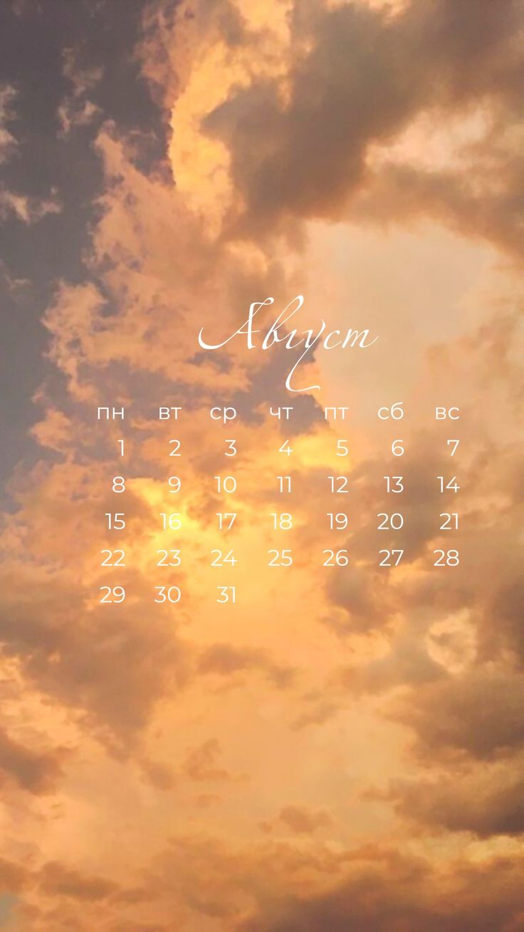736x1308  Заставка на телефон с календарём на август 2022 года | Календарь на август,  Шаблоны календарей, Календарь