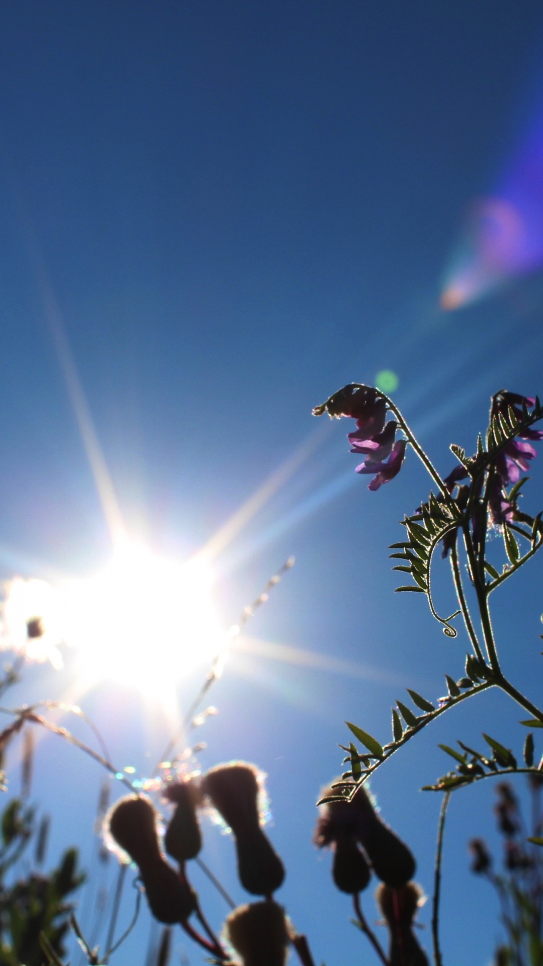 1080x1920  Обои погода, солнечный свет, дневное время, природа, новость на телефон  Android, 1080x1920 картинки и фото бесплатно