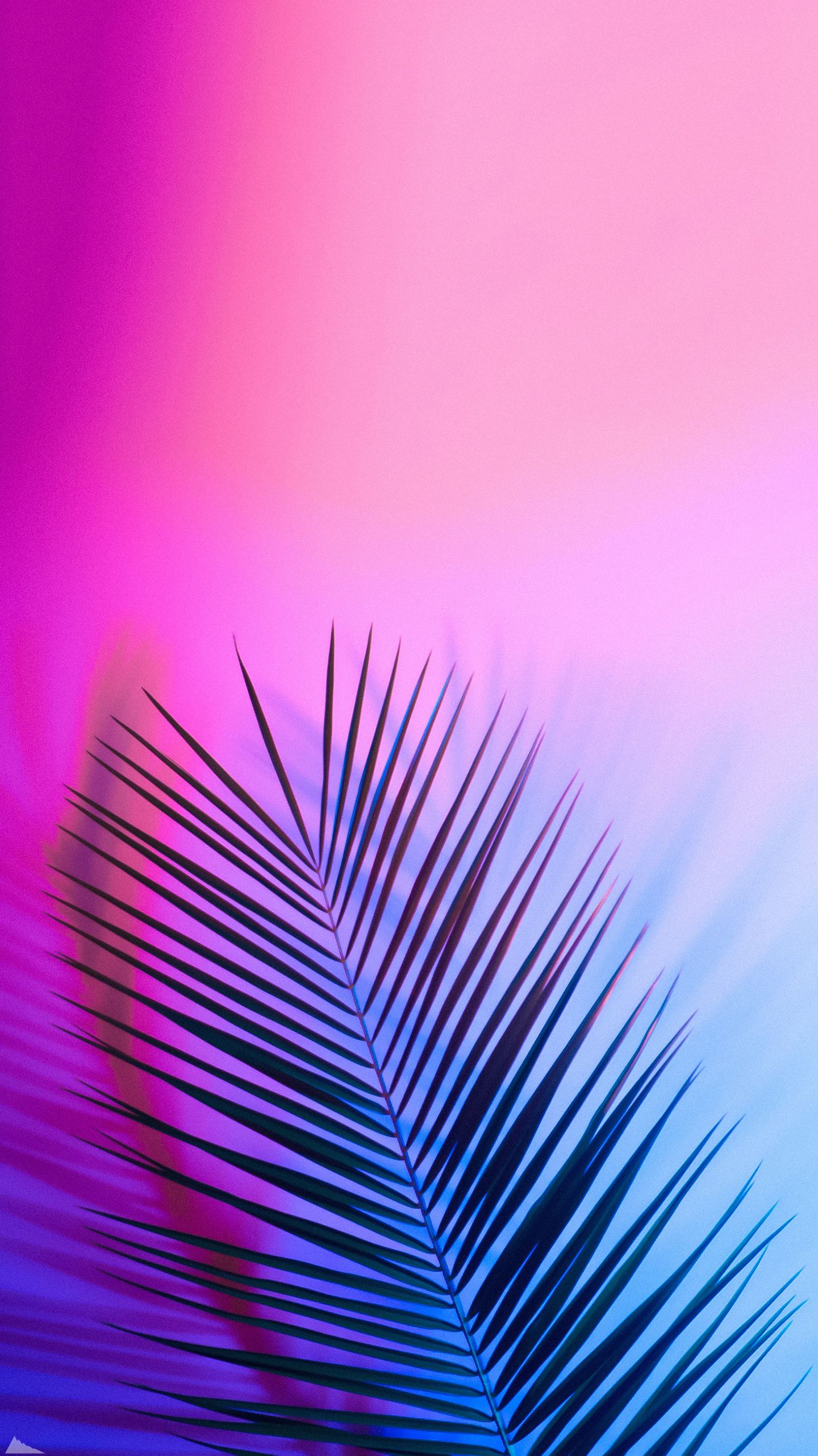 1440x2561  Обои на телефон в HD качестве | Фоновые рисунки, Розовые фоны, Голубой неон