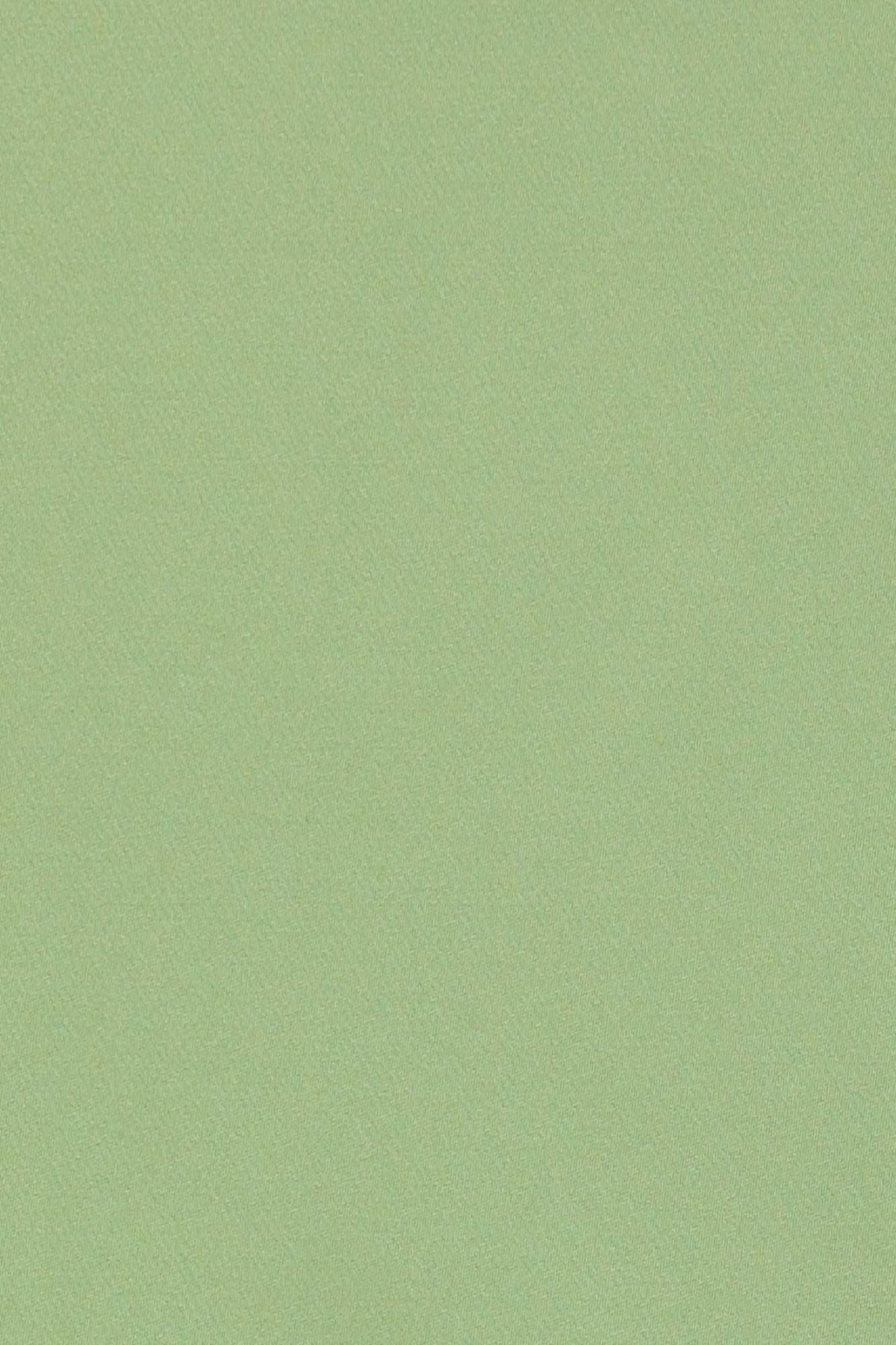 1200x1801  Фисташковые обои на телефон - фото и картинки: 69 штук