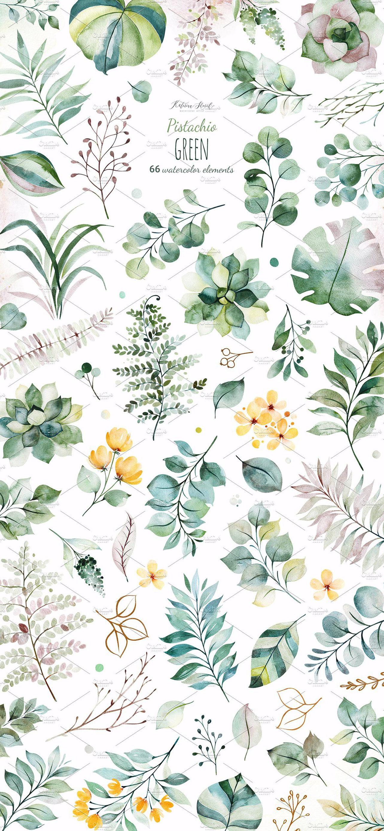 1284x2778  Фисташковые обои на телефон [24+ изображений]