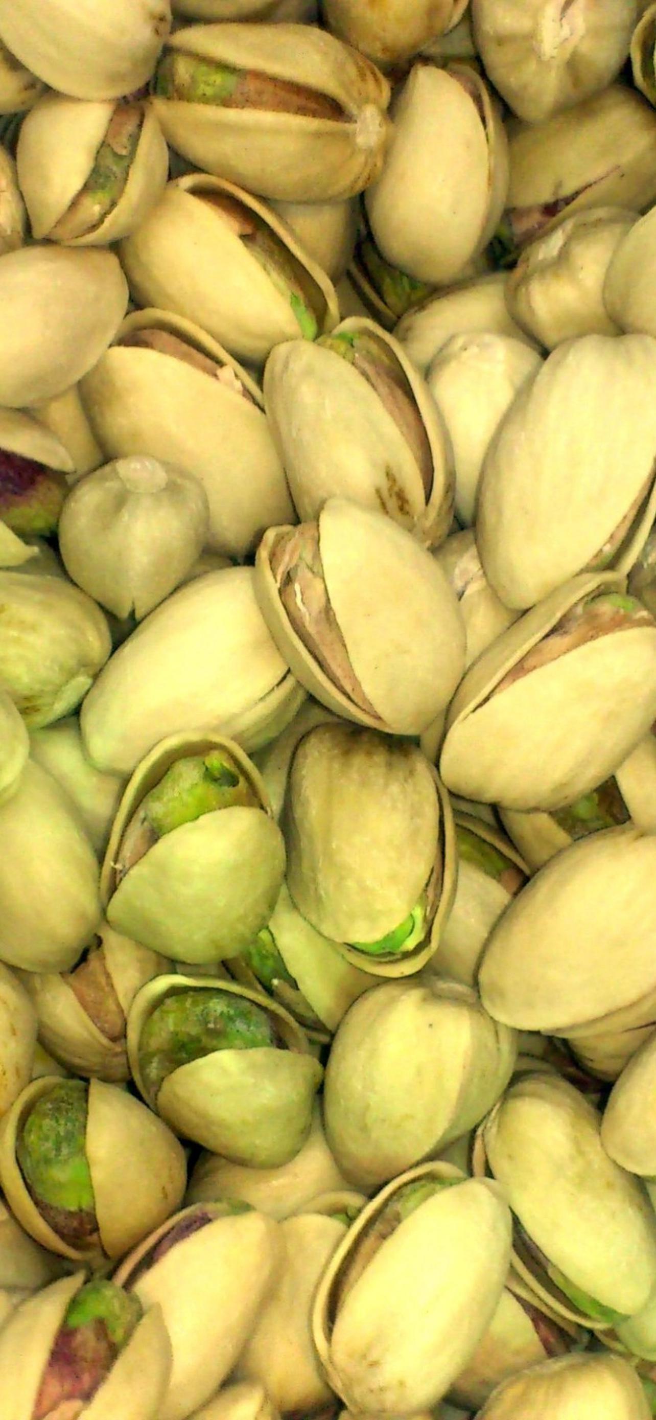 1284x2778  Фисташковые обои на телефон [24+ изображений]