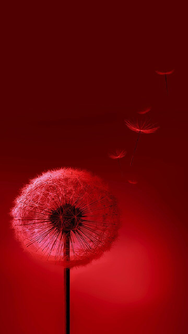 720x1280 HD обои-7 | Обои для iPhone, Обои для мобильного телефона, Фоны обои для телефона