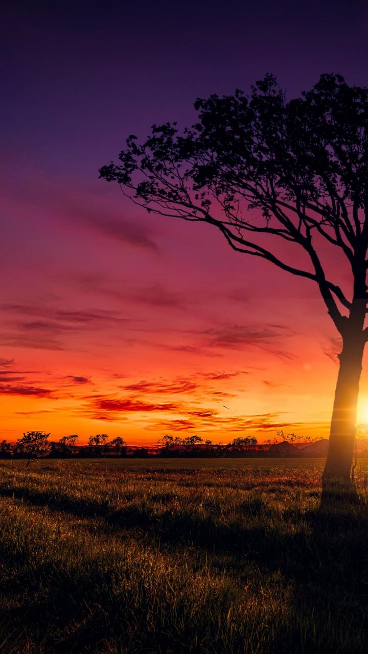 720x1280  Обои 720x1280 - Обои Пещера