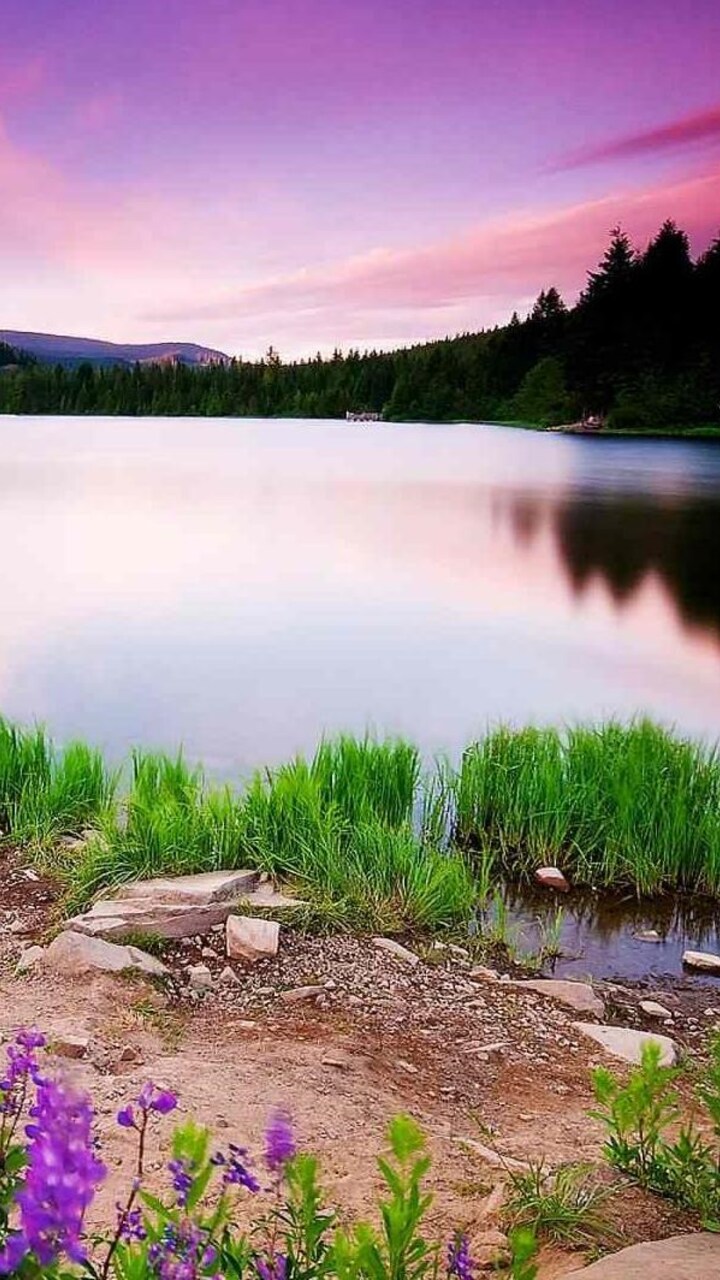 720x1280  720x1280 Пейзажи природы Moto G,X Xperia Z1,Z3 Compact,Galaxy S3,Note II,Nexus HD 4k Обои, изображения, фоны, фото и картинки