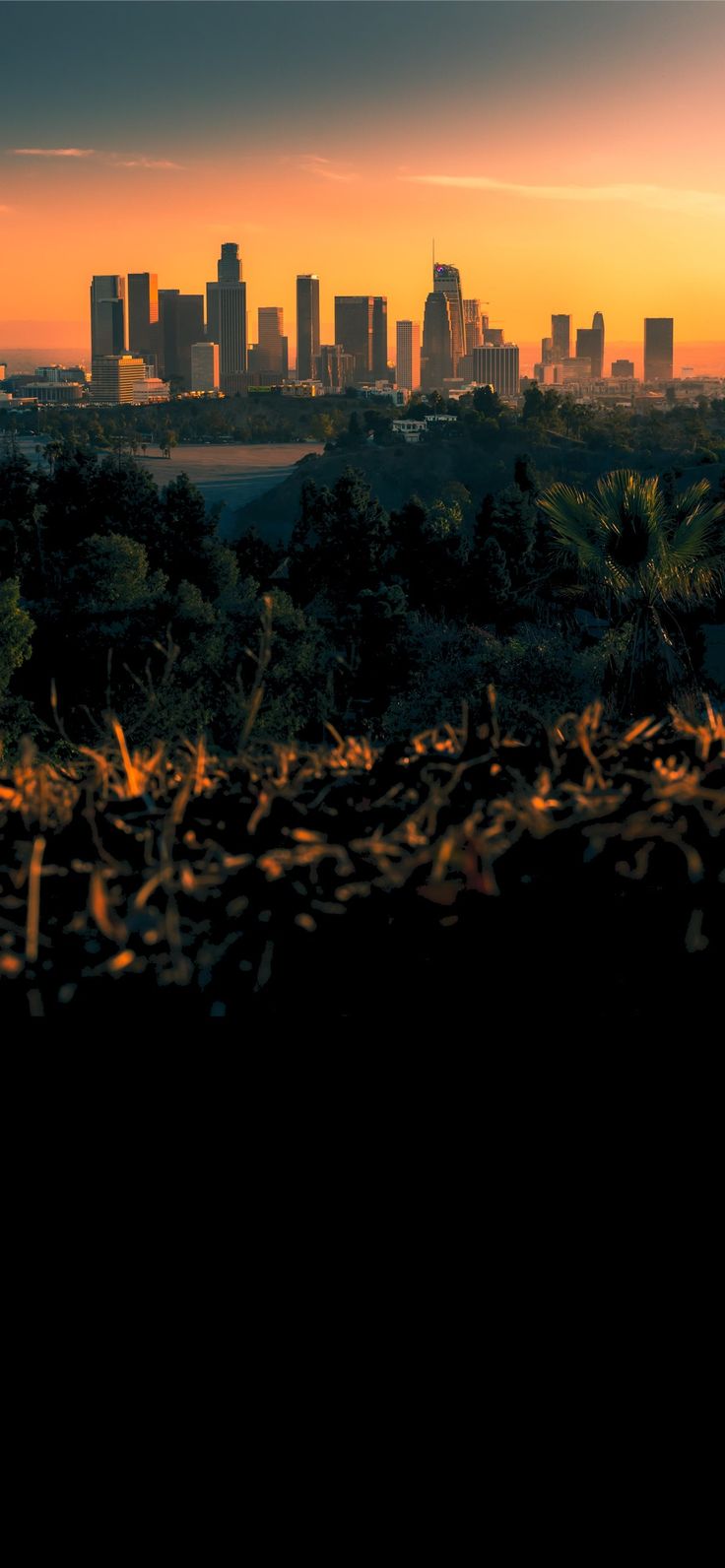 736x1592  Обои для iPhone iPhone с закатом в Лос-Анджелесе в 2023 году | Лос-Анджелес iphone Wallpaper, Закат Лос-Анджелеса, Рассветы природы