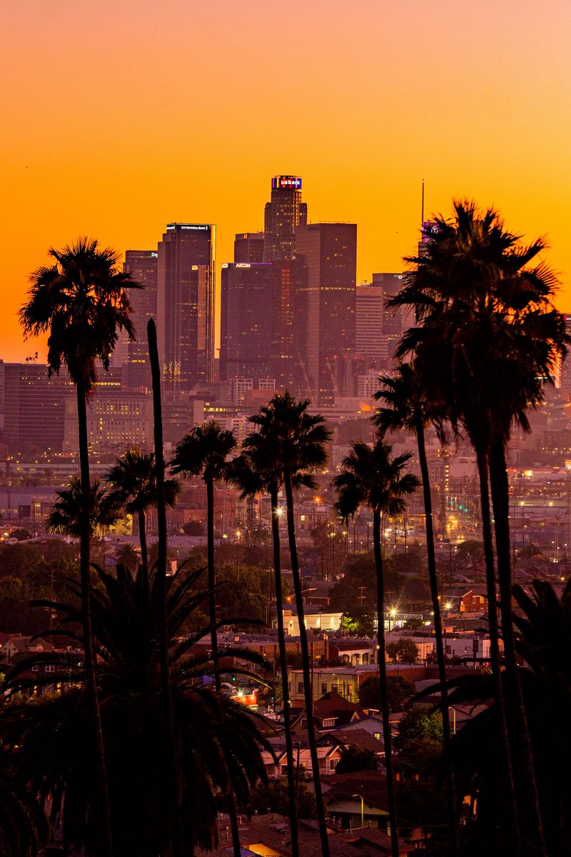 800x1200  Скачать 800x1200 город, пальмы, закат, здания, небоскребы, лос-анджелес обои, картинки iphone 4s/4 for parallax