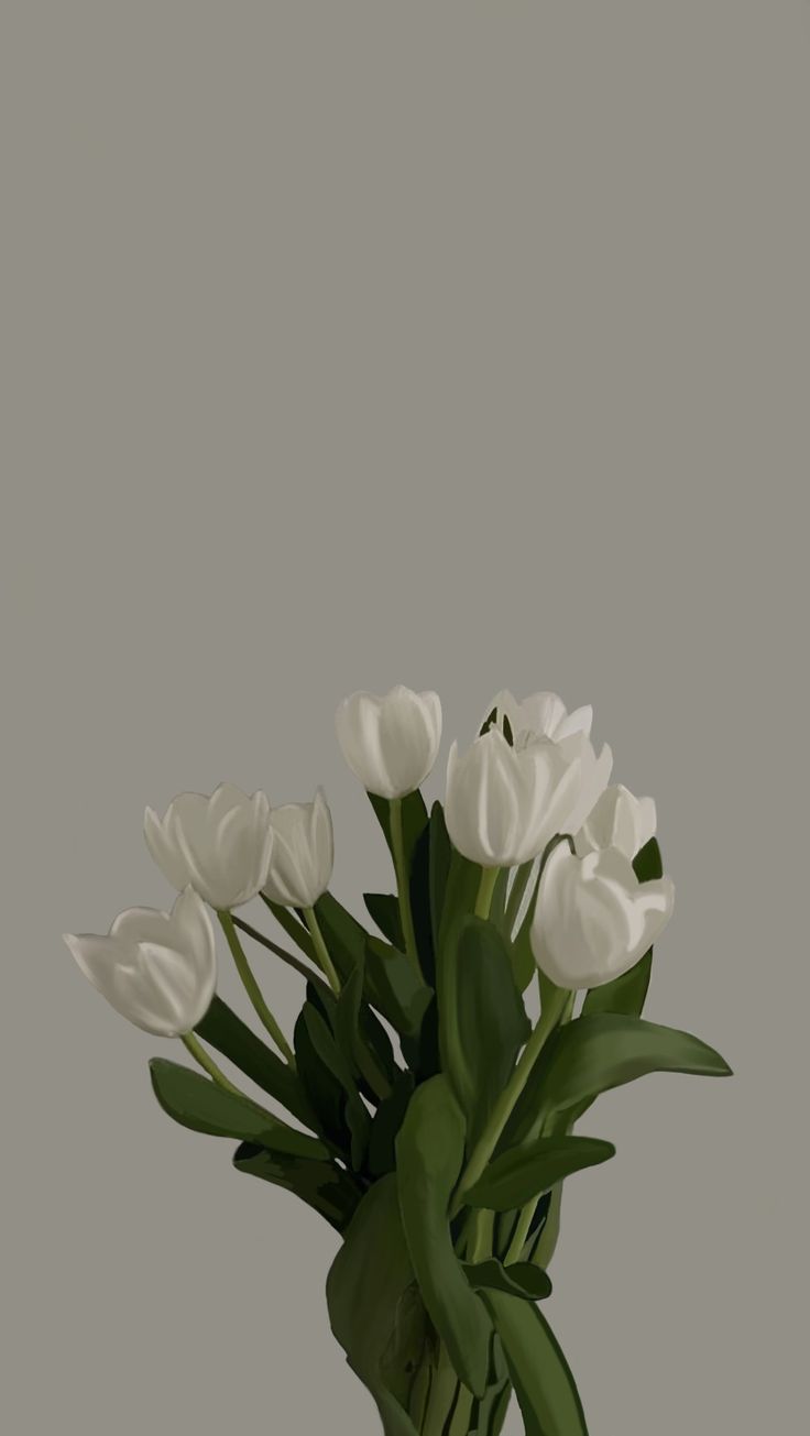 736x1305  Aesthetic flowers | Vintage flowers wallpaper, White flower wallpaper, Cute  flower wallpapers