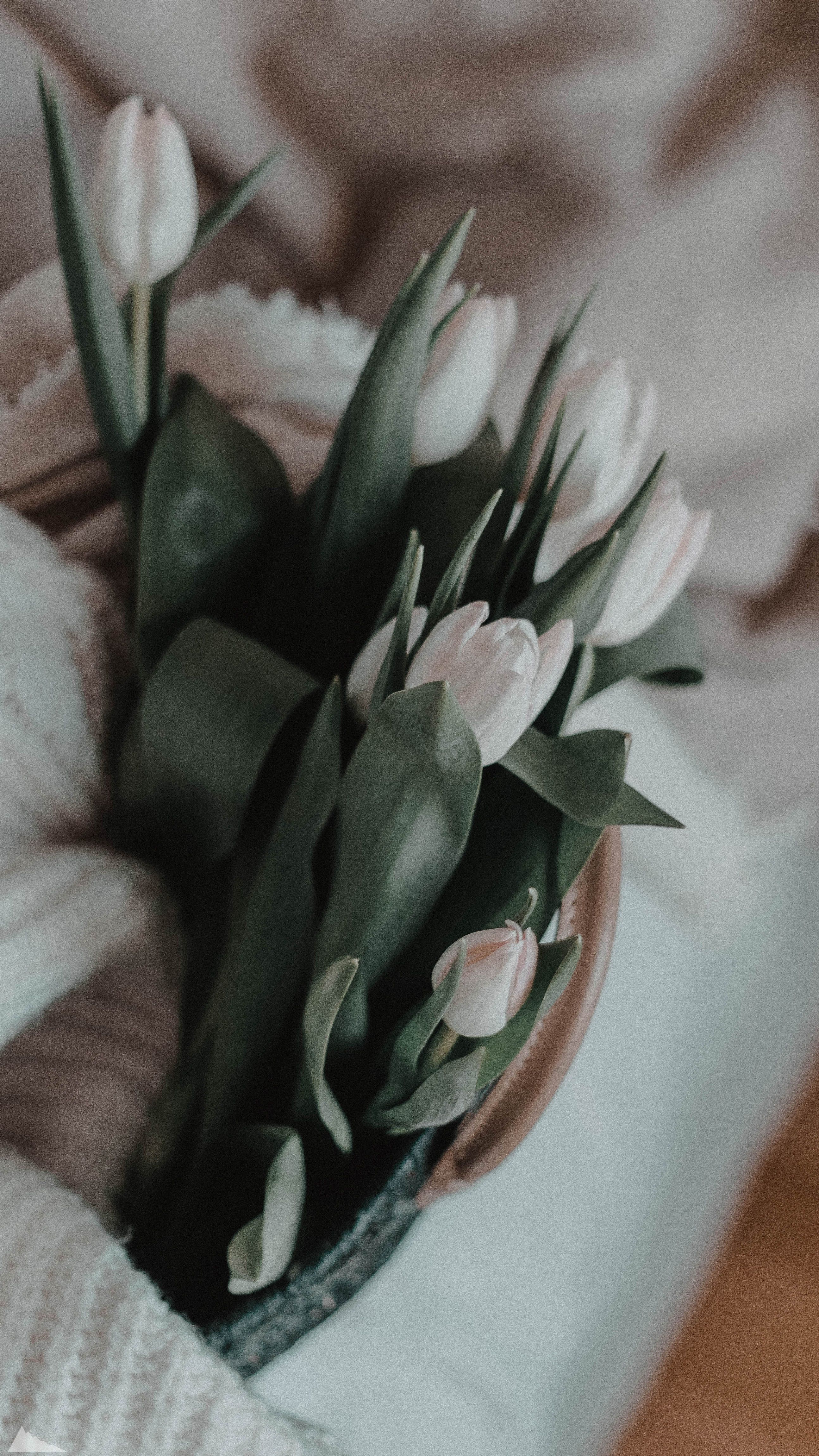 2588x4600  Обои на телефон | Цветочные фоны, Цветочные картины, Пастельные цветы