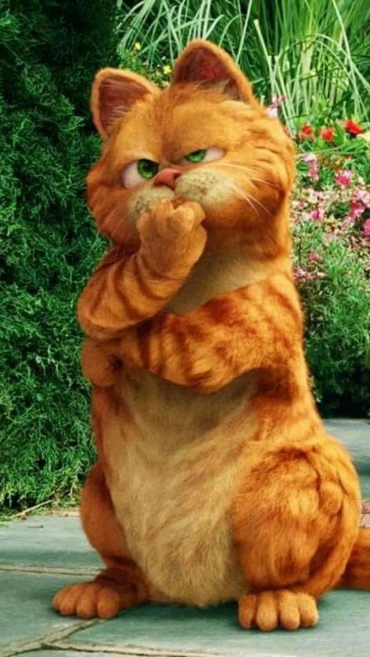 736x1308  Autumn Garfield Wallpapers - Wallpaper Cave