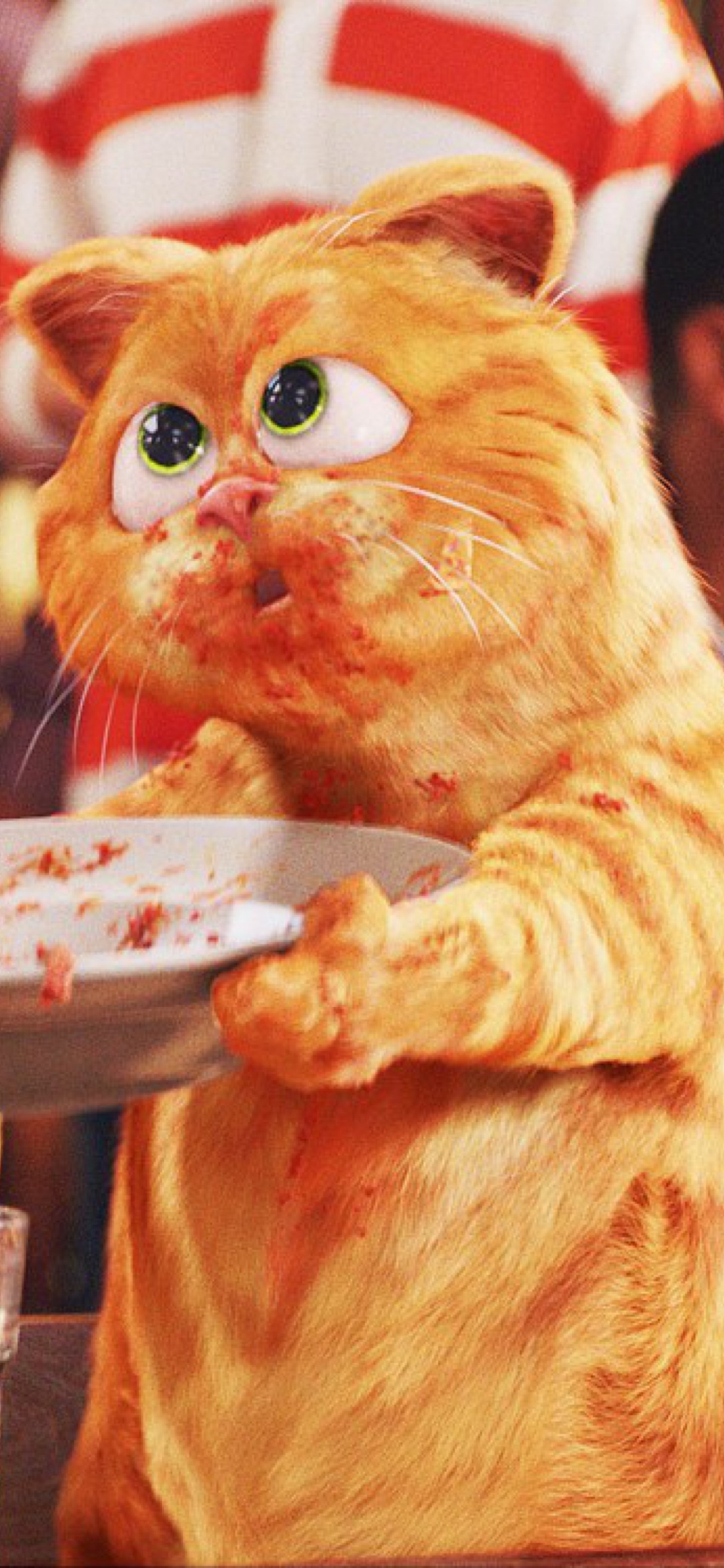 Кота гарфилда