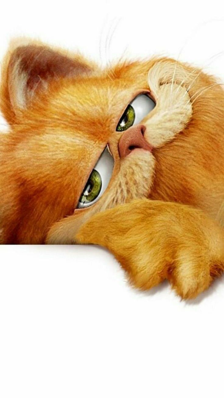 736x1308  обои на телефон буханка｜Поиск в TikTok