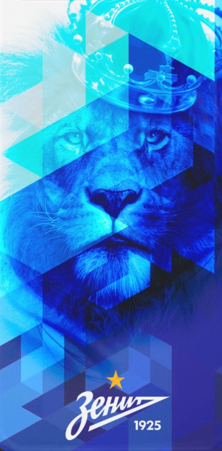 720x1462  Pinterest | Футбольные темы, Даффи дак, Офисные обои