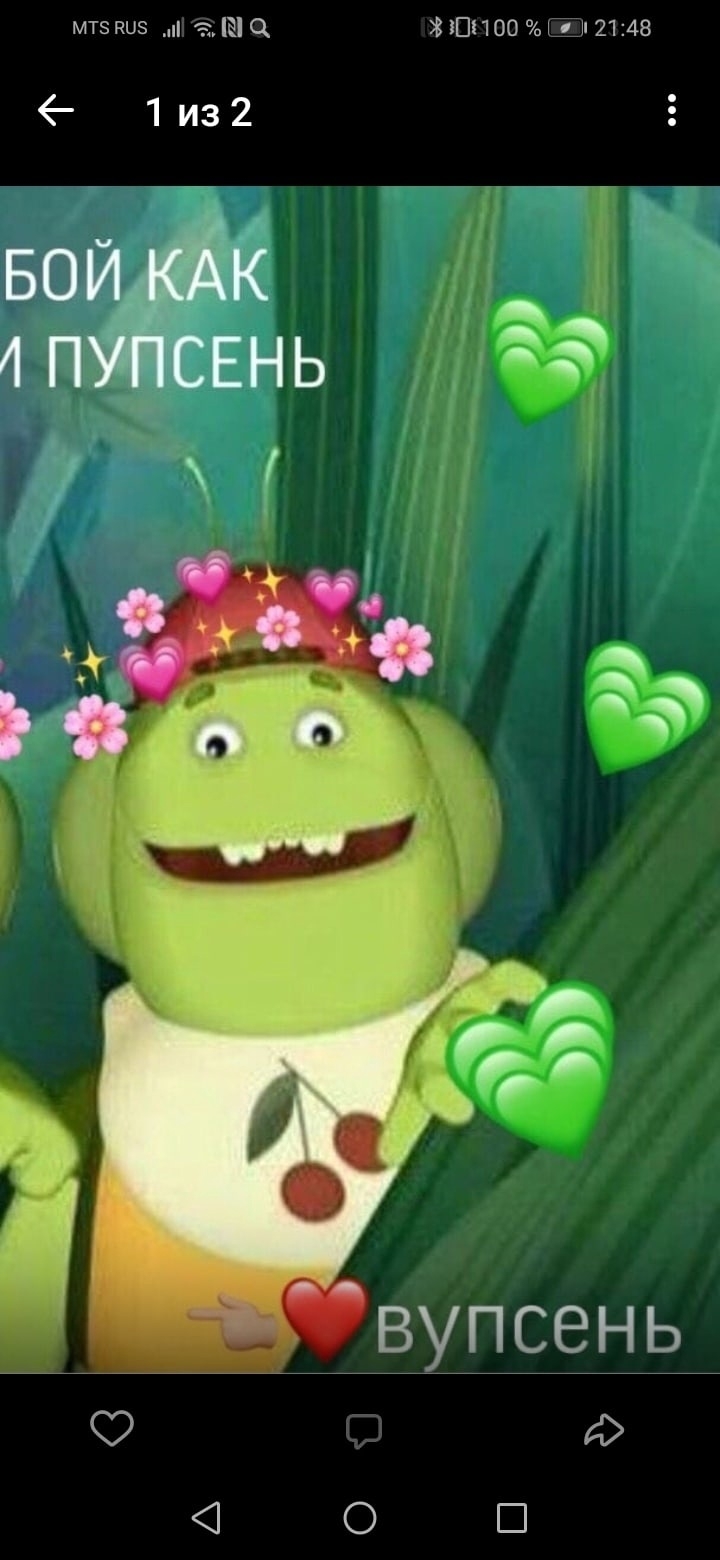 720x1560  Вупсень и пупсень парные обои - 65 фото