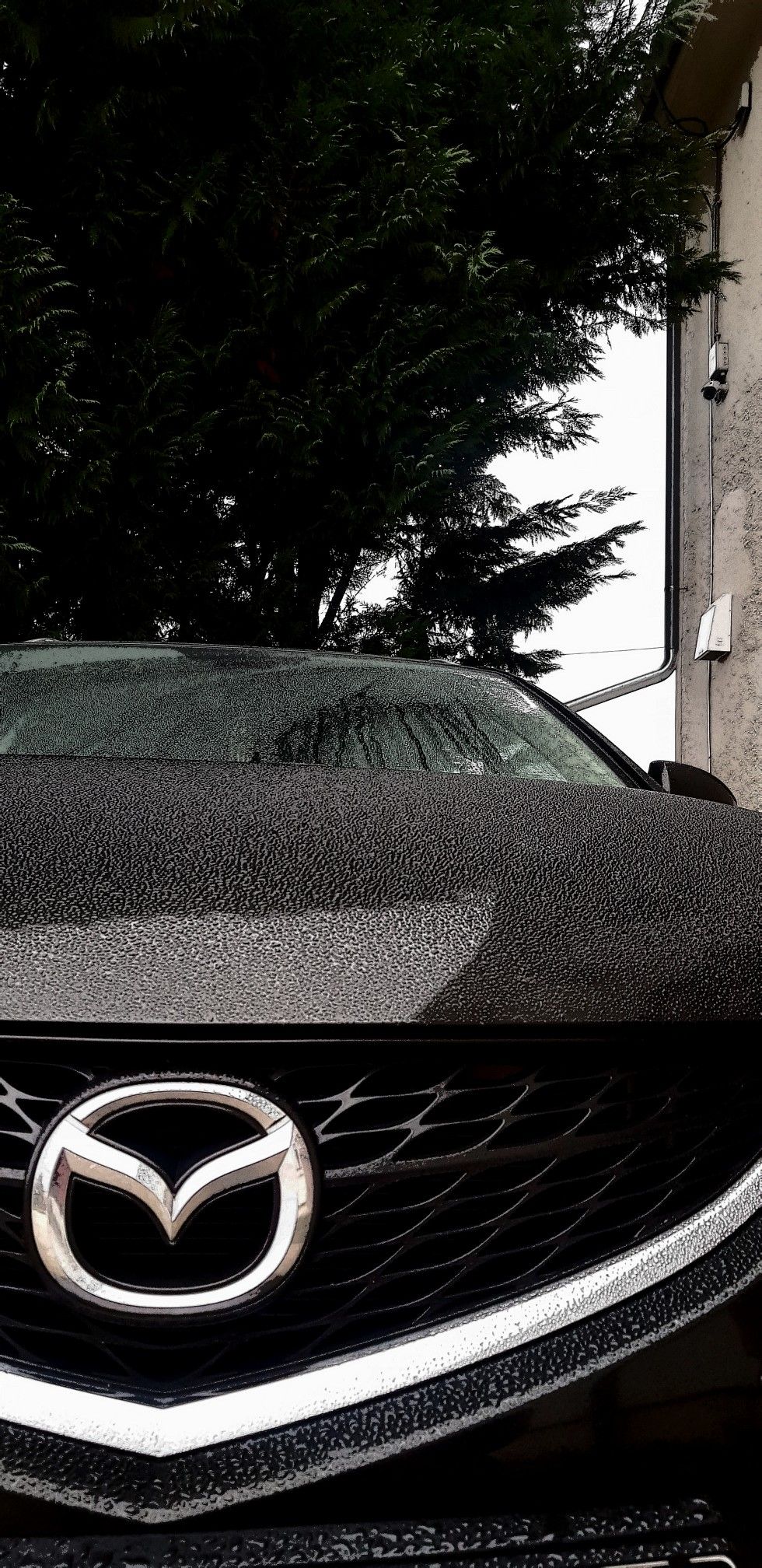 980x2016  Wallpaper Mazda 6 | Мазда, Мазда6, Автомобиль для девушки