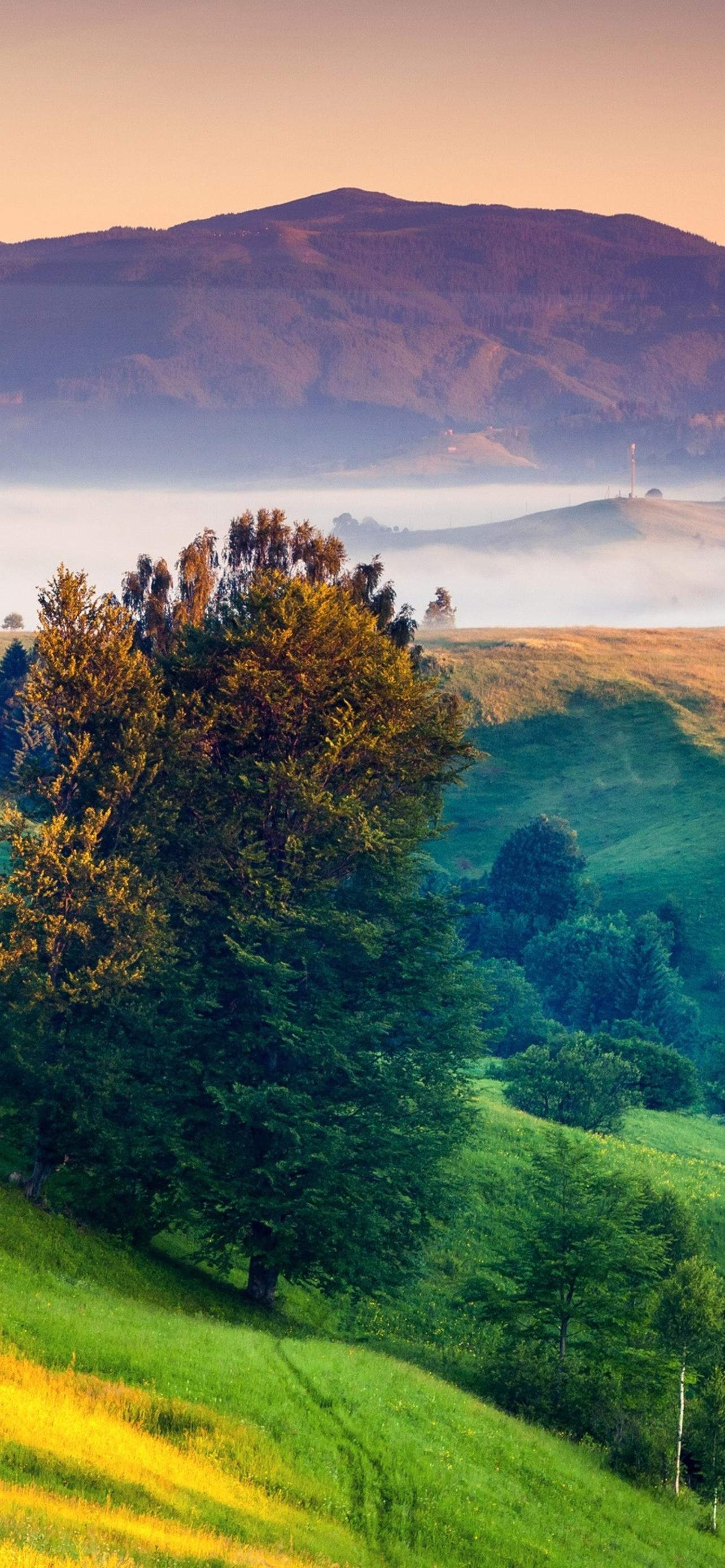 1284x2778  1080х2280 обои на телефон [18+ изображений]