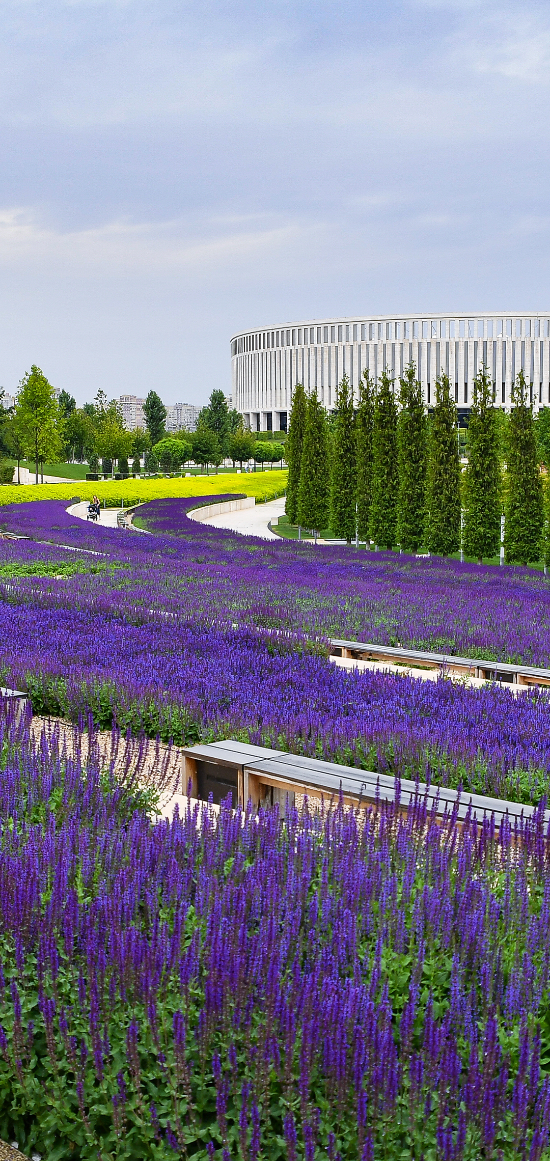 1080x2280  Wallpapers. Official site FC Krasnodar