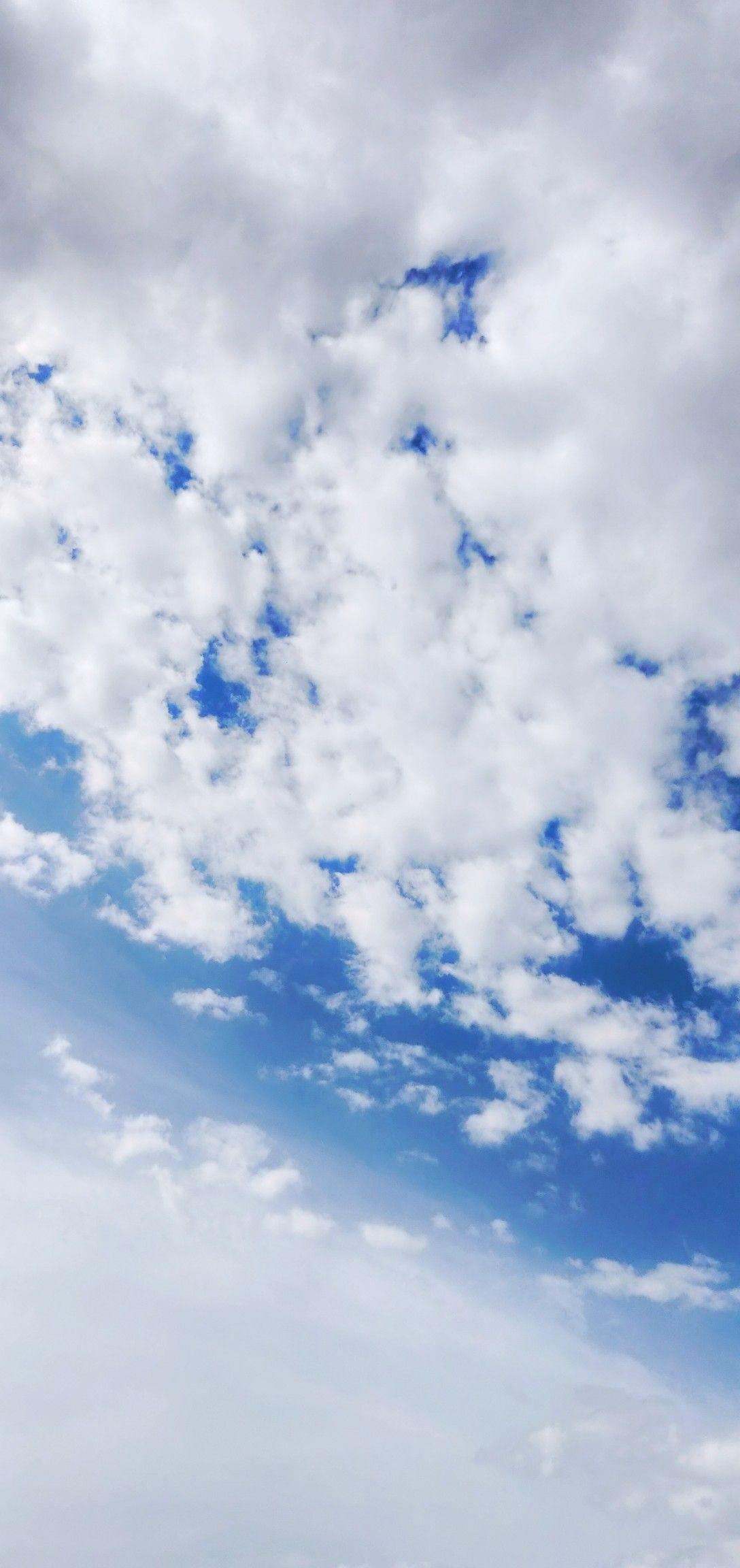 1088x2304  Imgur: Магия Интернета