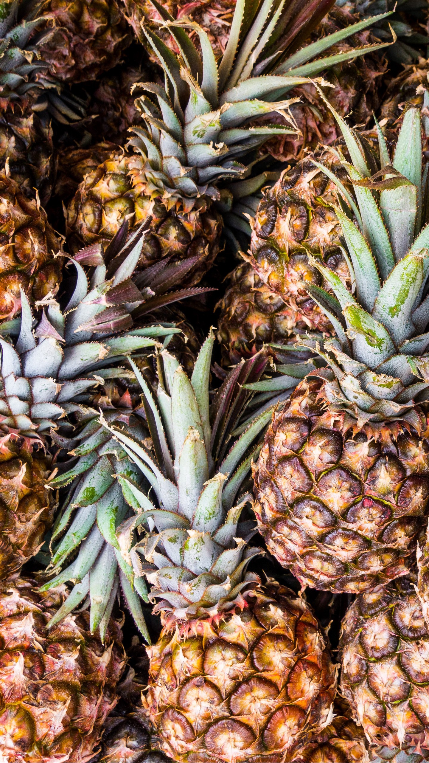 1440x2560  Обои на телефон ананасы, фрукты, спелый - скачать бесплатно в высоком  качестве из категории \"Еда\"