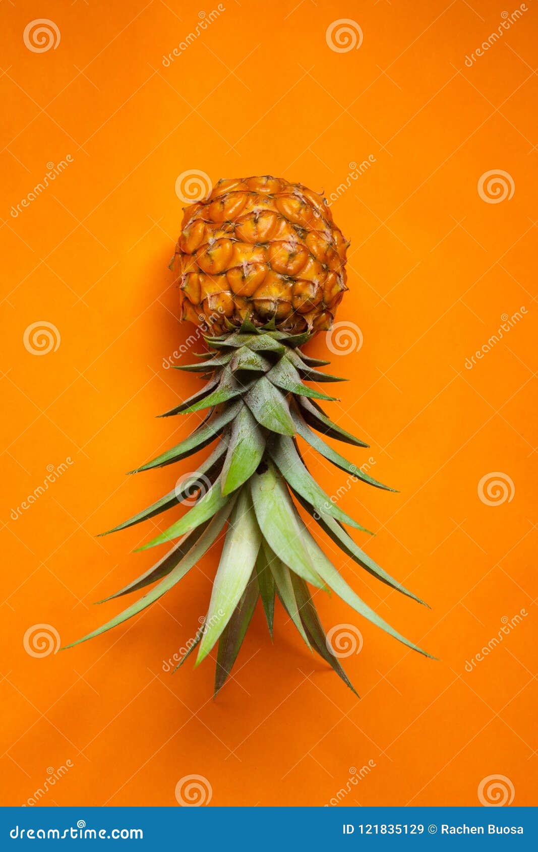 1067x1690  Обои оранжевой предпосылки картины ананаса холодные Стоковое Изображение -  изображение насчитывающей холодно, мока: 121835129