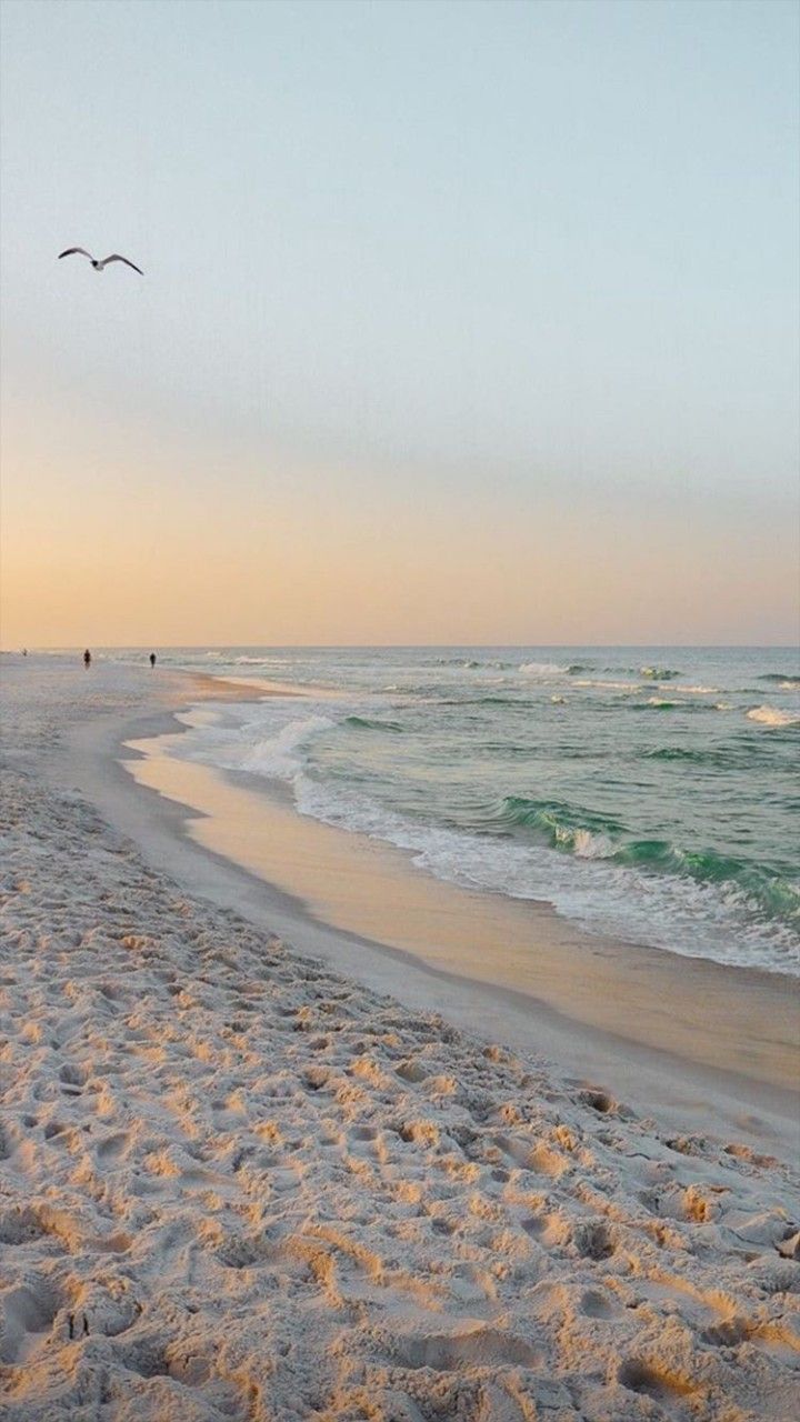 720x1280  обои на телефон. Эстетика | Beach wallpaper, Sky aesthetic, Scenery