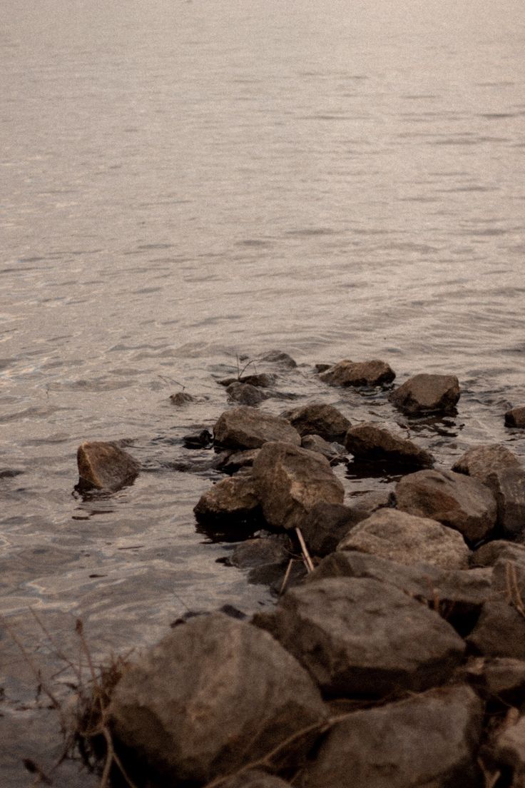 736x1104  Обои на телефон в 2023 г | Обои, Река, Природа