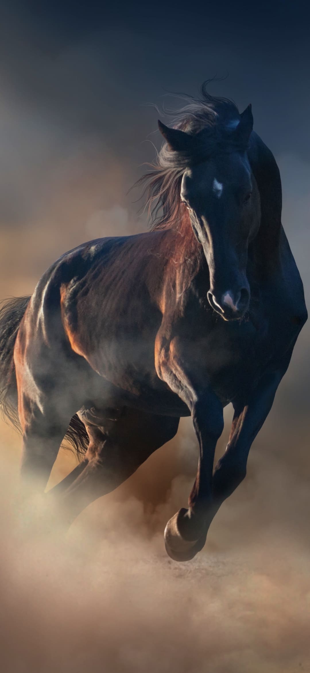 1080x2340  Скачать фото лошади на обои телефона. | Животные картинки на телефон  скачать. | Постила