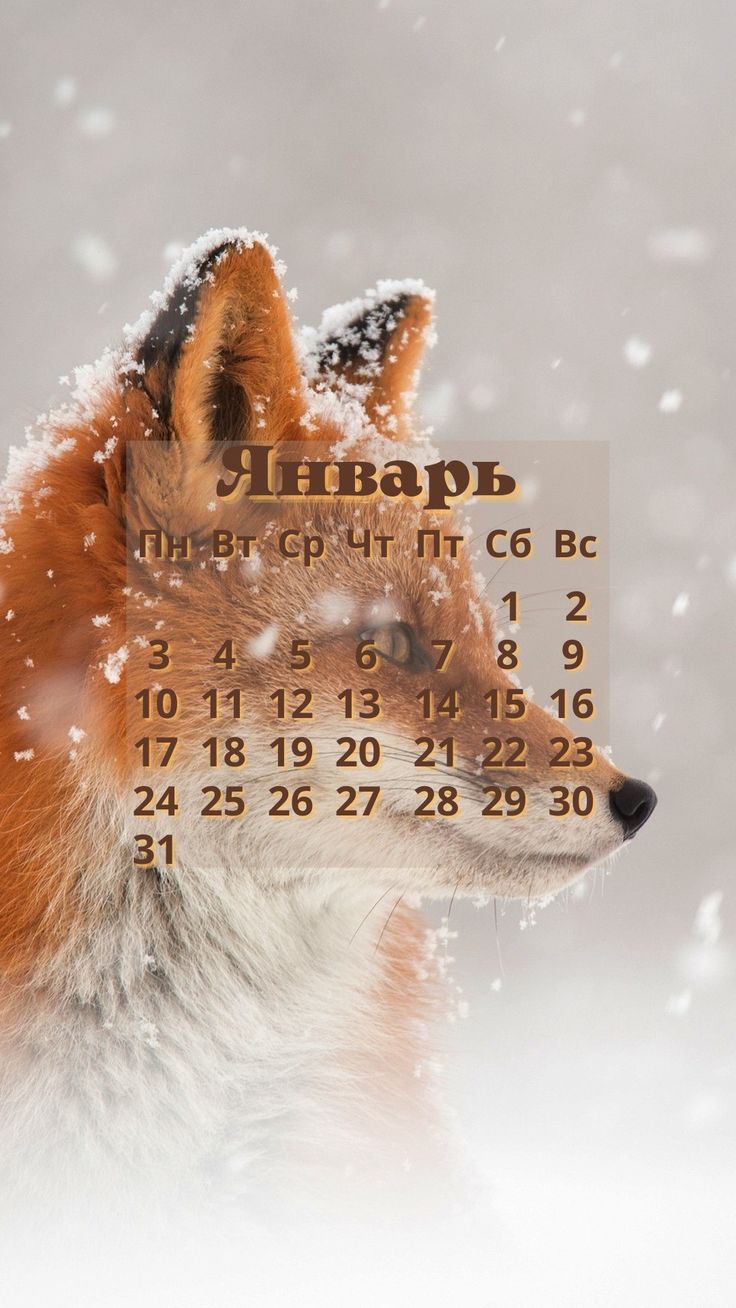 736x1308  Обои на январь 2022 в 2023 г | Обои, Шаблоны календарей, Обои фоны