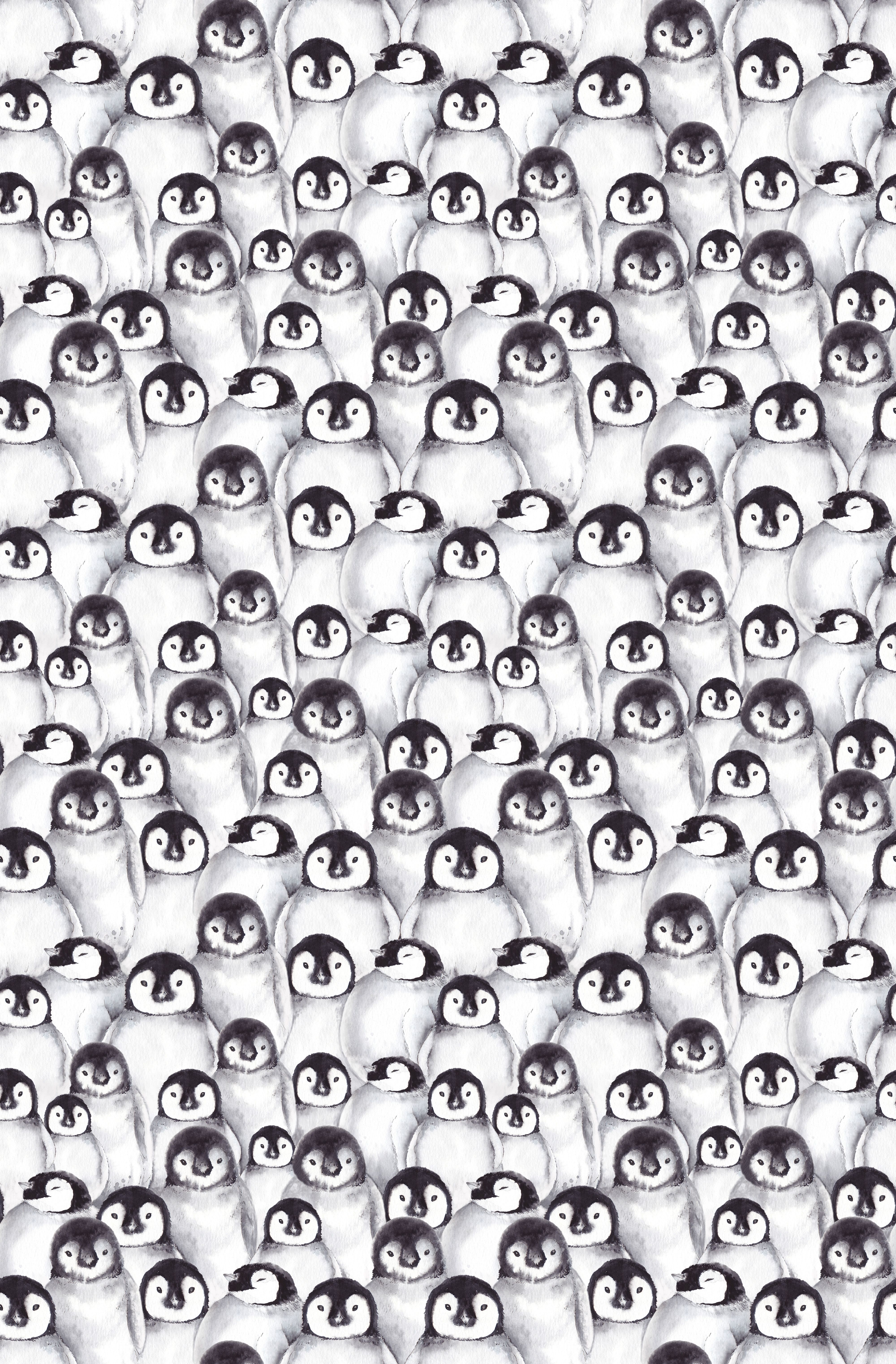 4000x6088  52+ Пингвин обои на рабочий стол, компьютер, телефон, iPhone, Android,  Windows от megan02