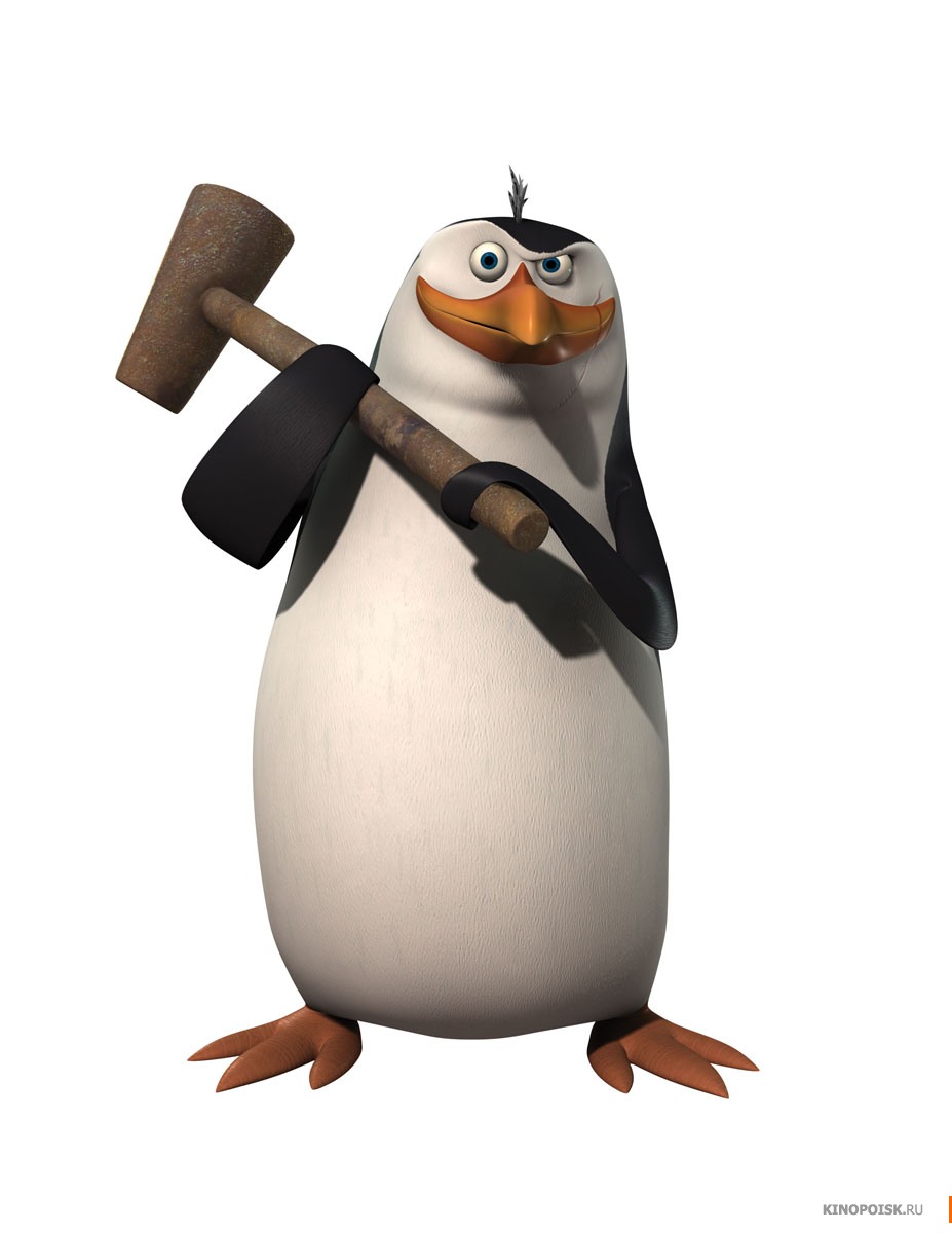 927x1200  Скачать фотообои для рабочего стола: пингвин из Мадагаскара, фото, обои для  рабочего стола, фото, молоток