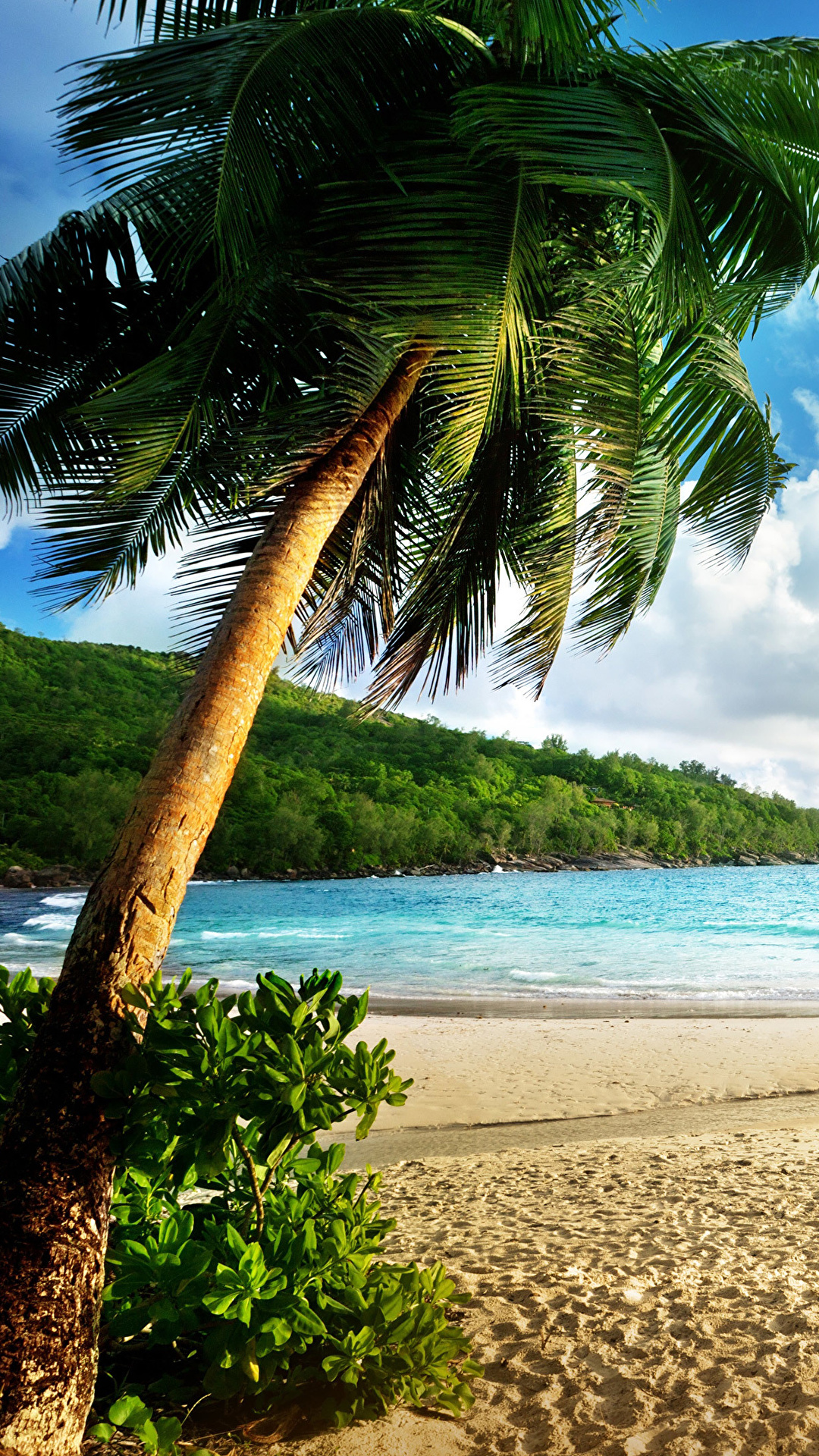 1080x1920  Картинки Пляж Море Природа Пальмы Пейзаж Тропики 1080x1920